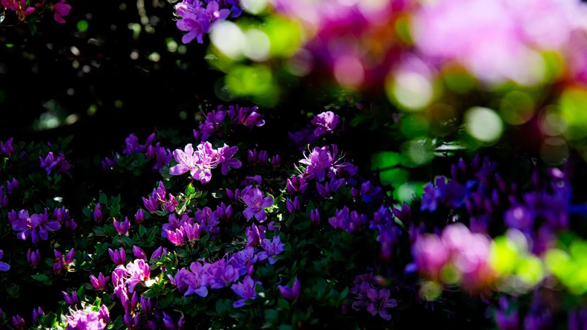 Natural landscape in Unzen Iwaki Ryokan