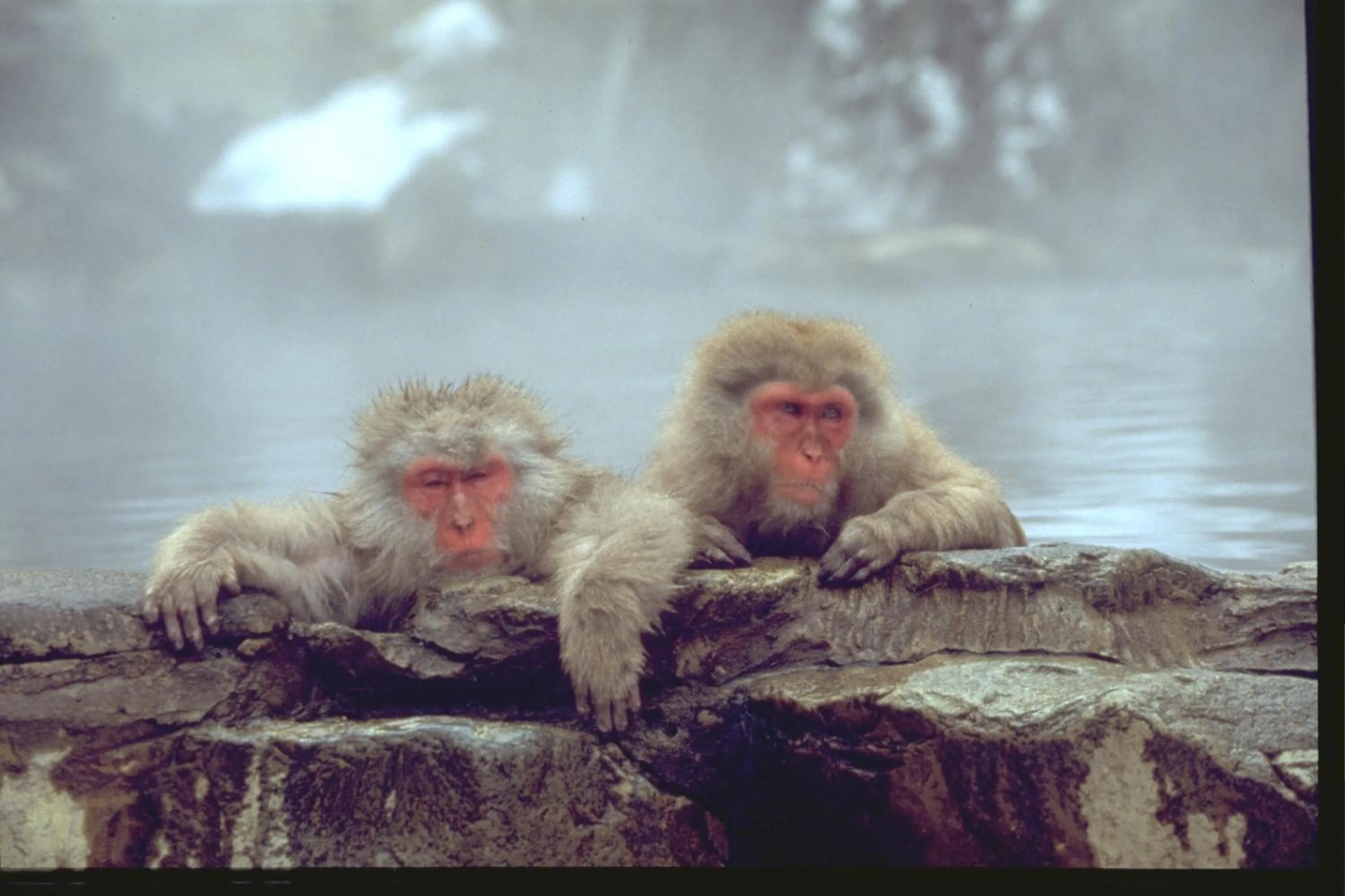 Area and facilities in Guest House Kura