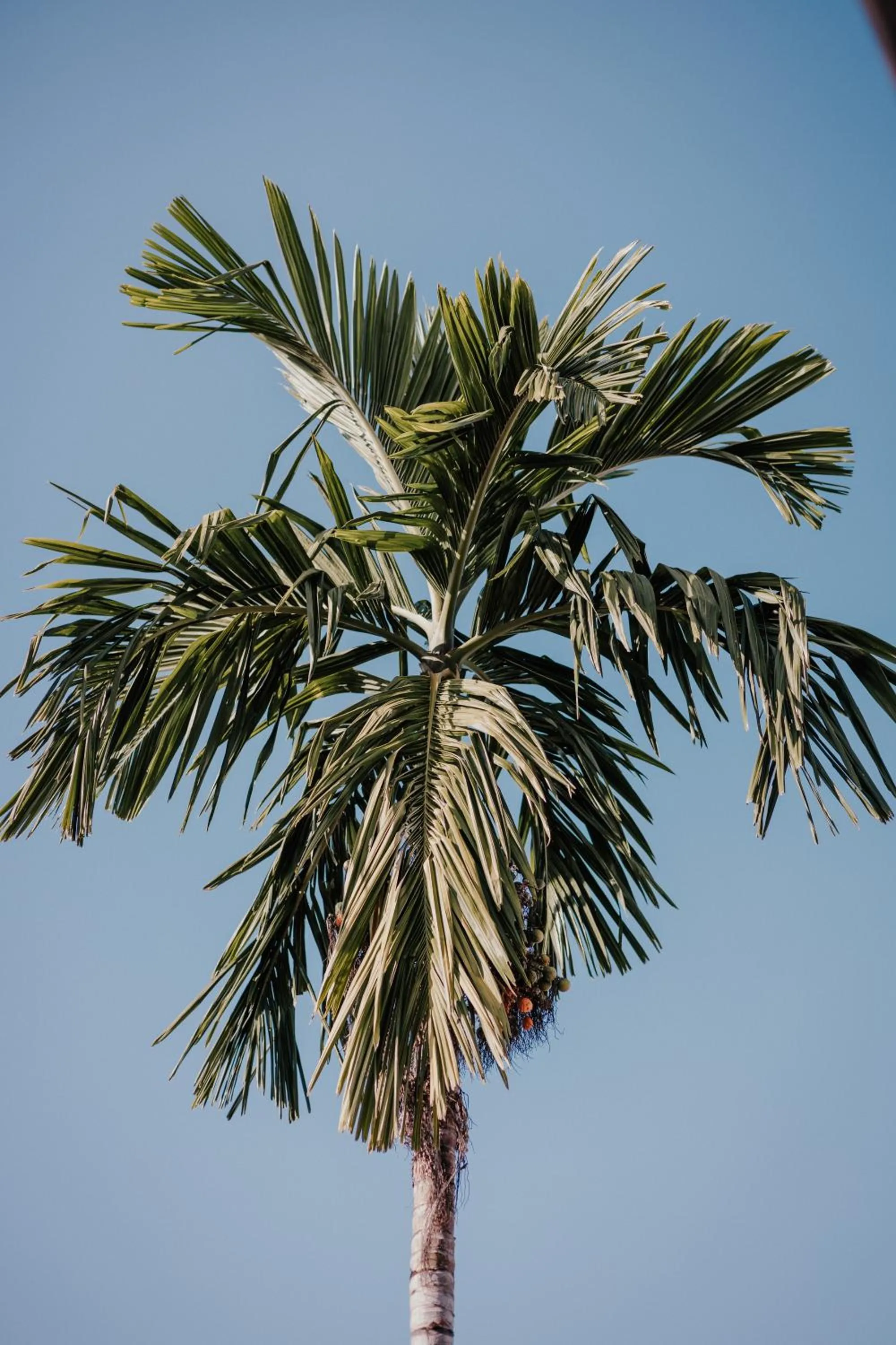 Day in Arun Dara Villa