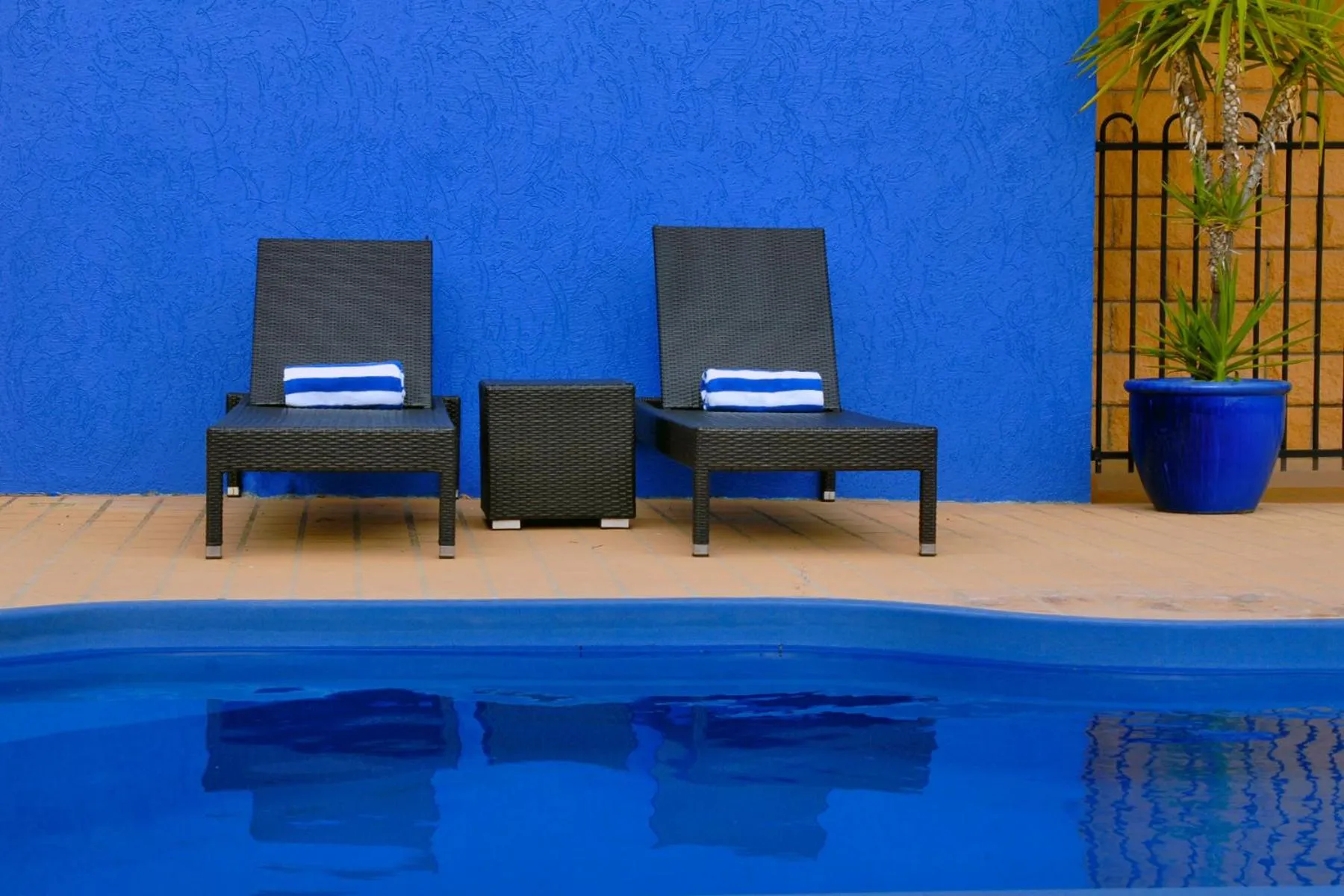 Swimming pool in Best Western Ascot Lodge Motor Inn