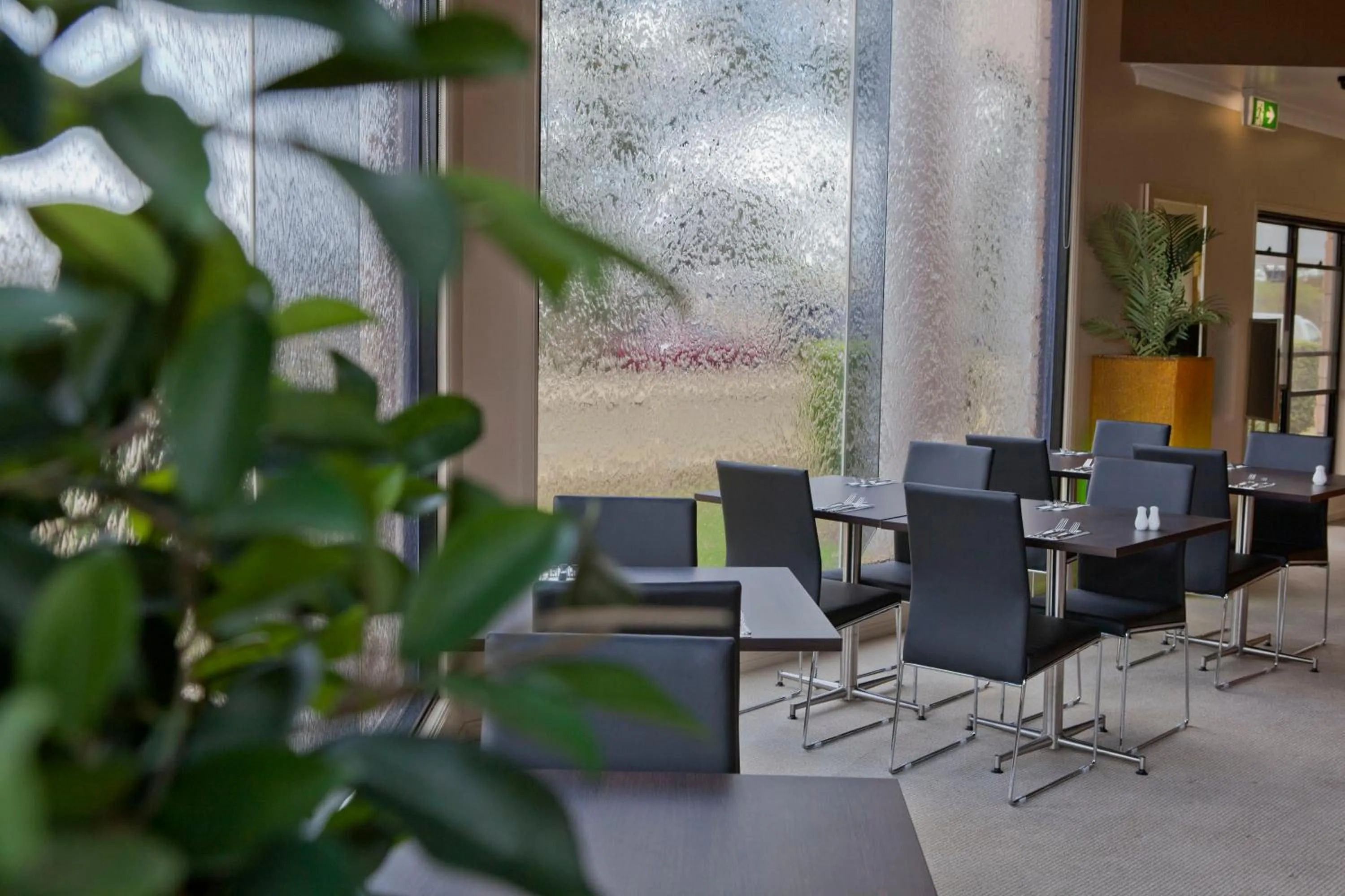 Restaurant/places to eat in Best Western Ascot Lodge Motor Inn