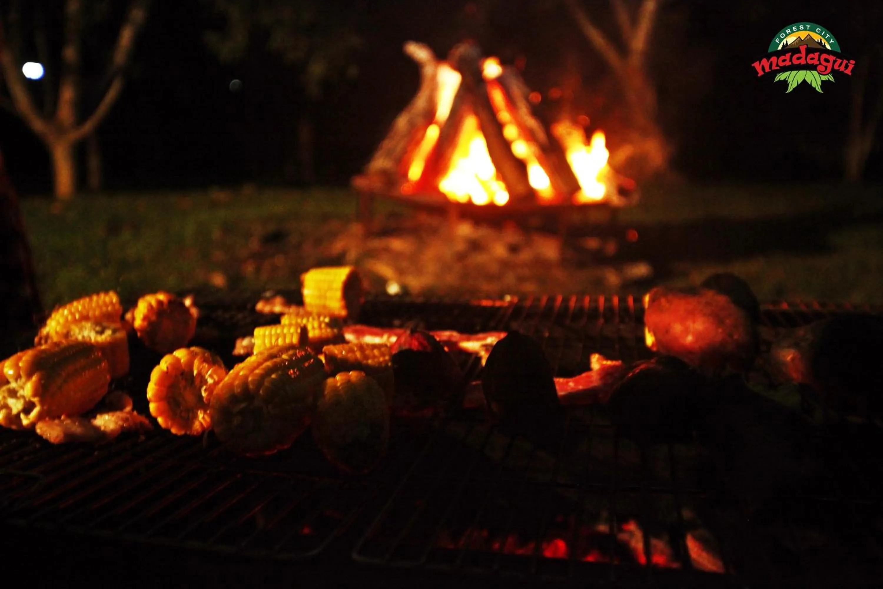 Bird's eye view in Madagui Forest City