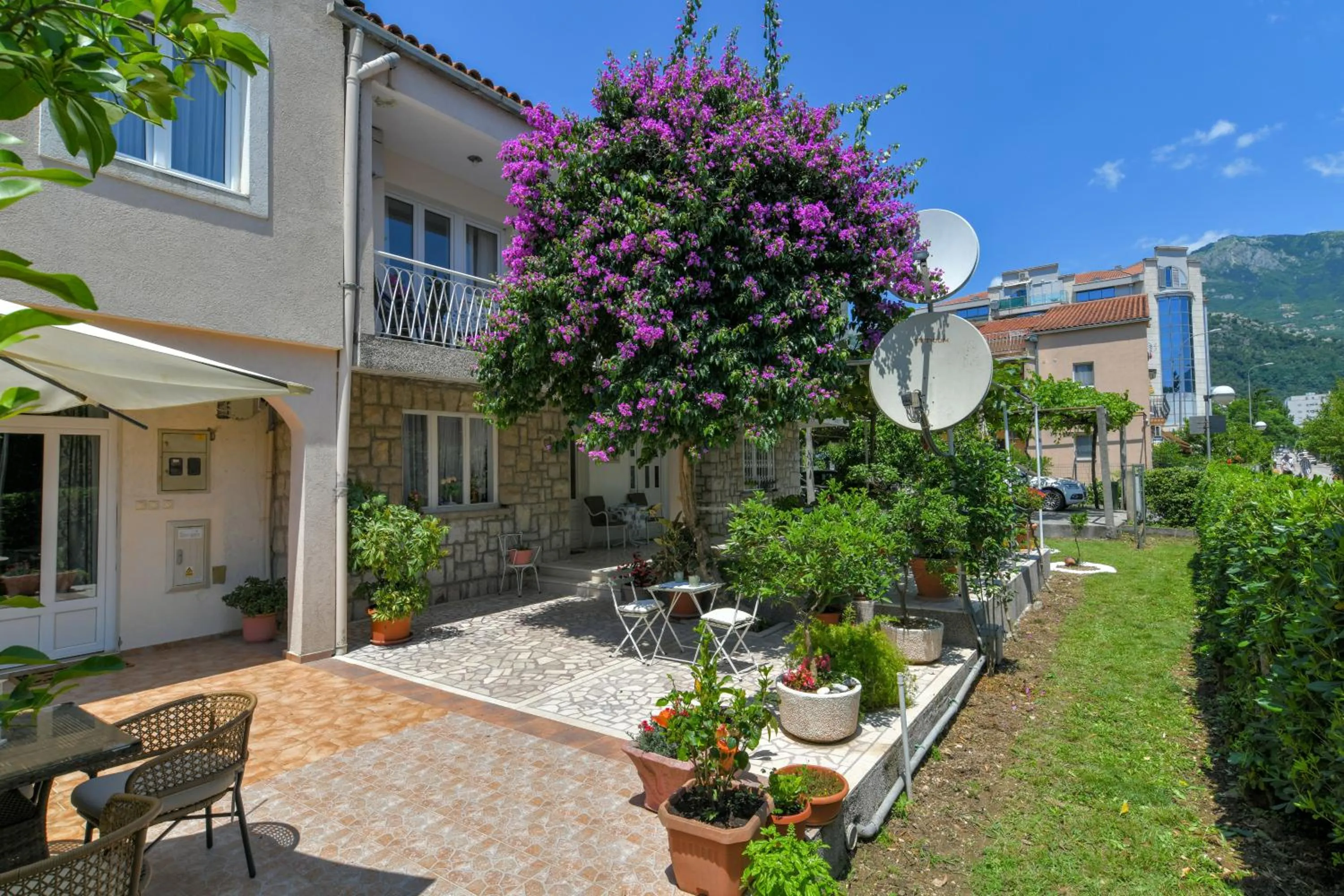 Property building in Apartments Elena