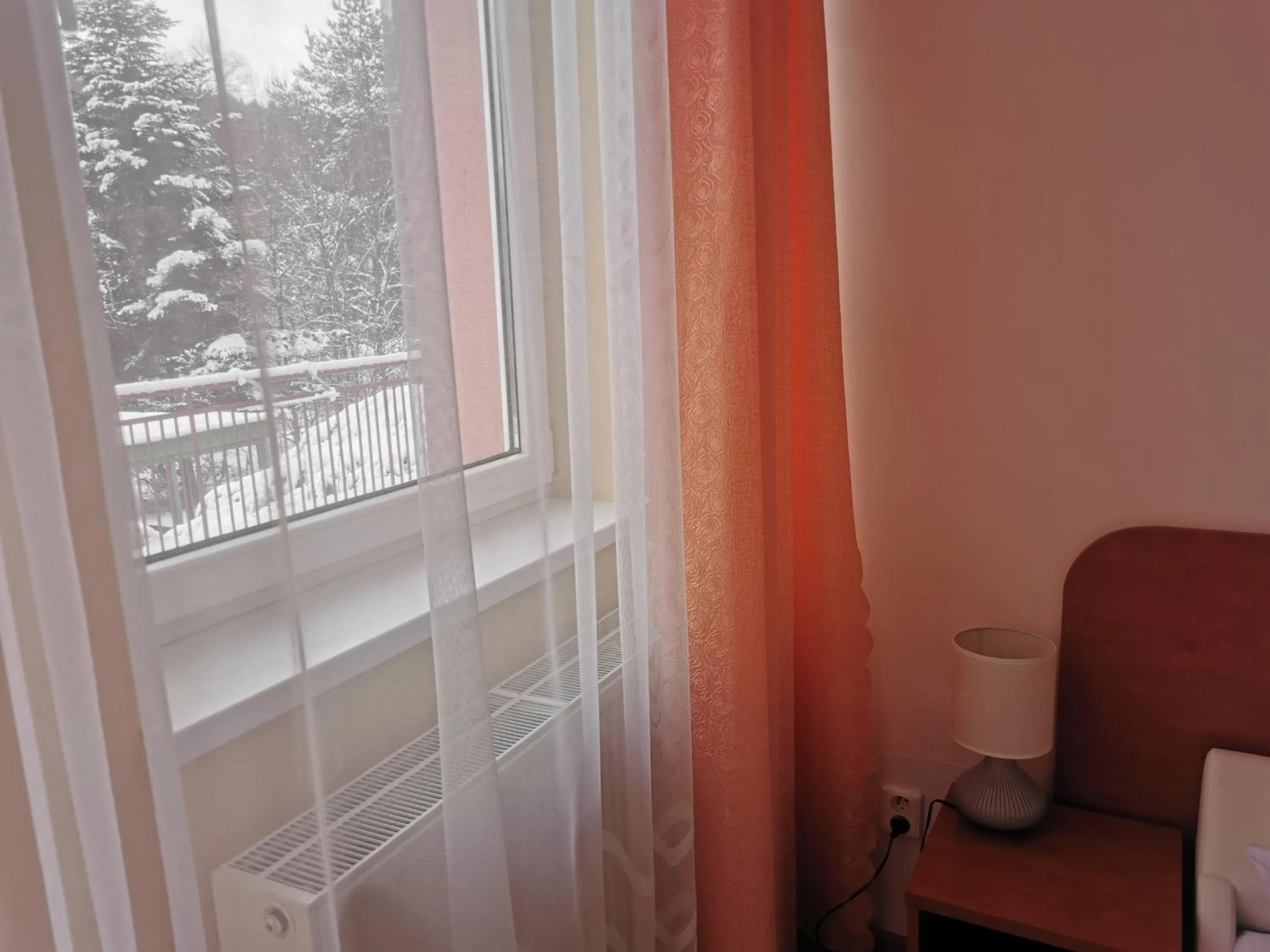 View (from property/room) in Penzion Zornicka