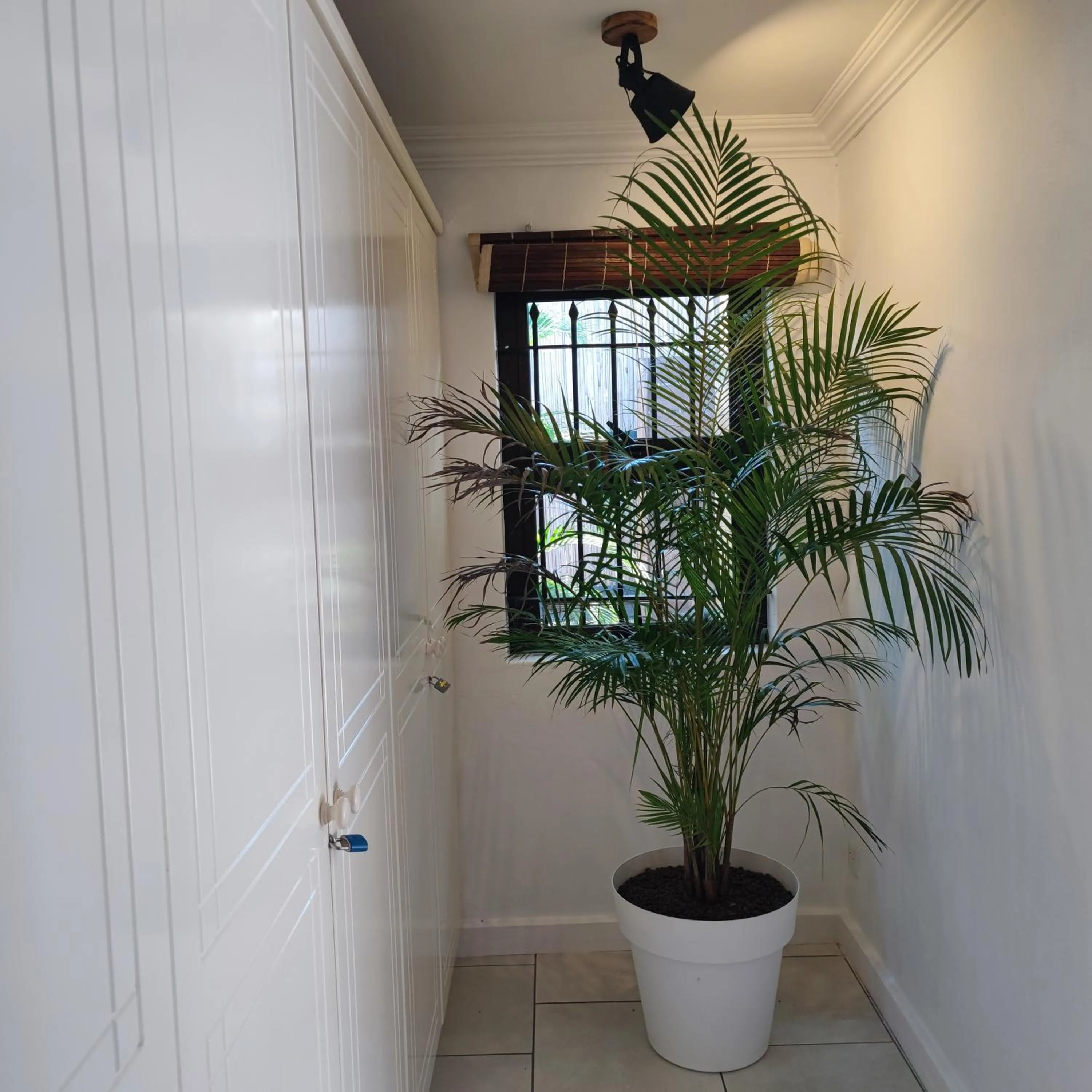 acessibility in SWEET ISLAND petit dejeuner inclus