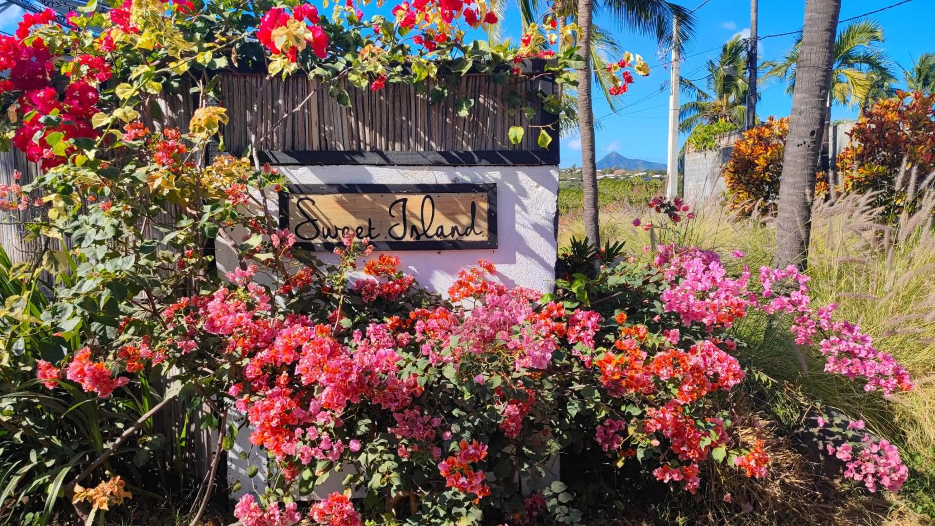 Facade/entrance in SWEET ISLAND petit dejeuner inclus