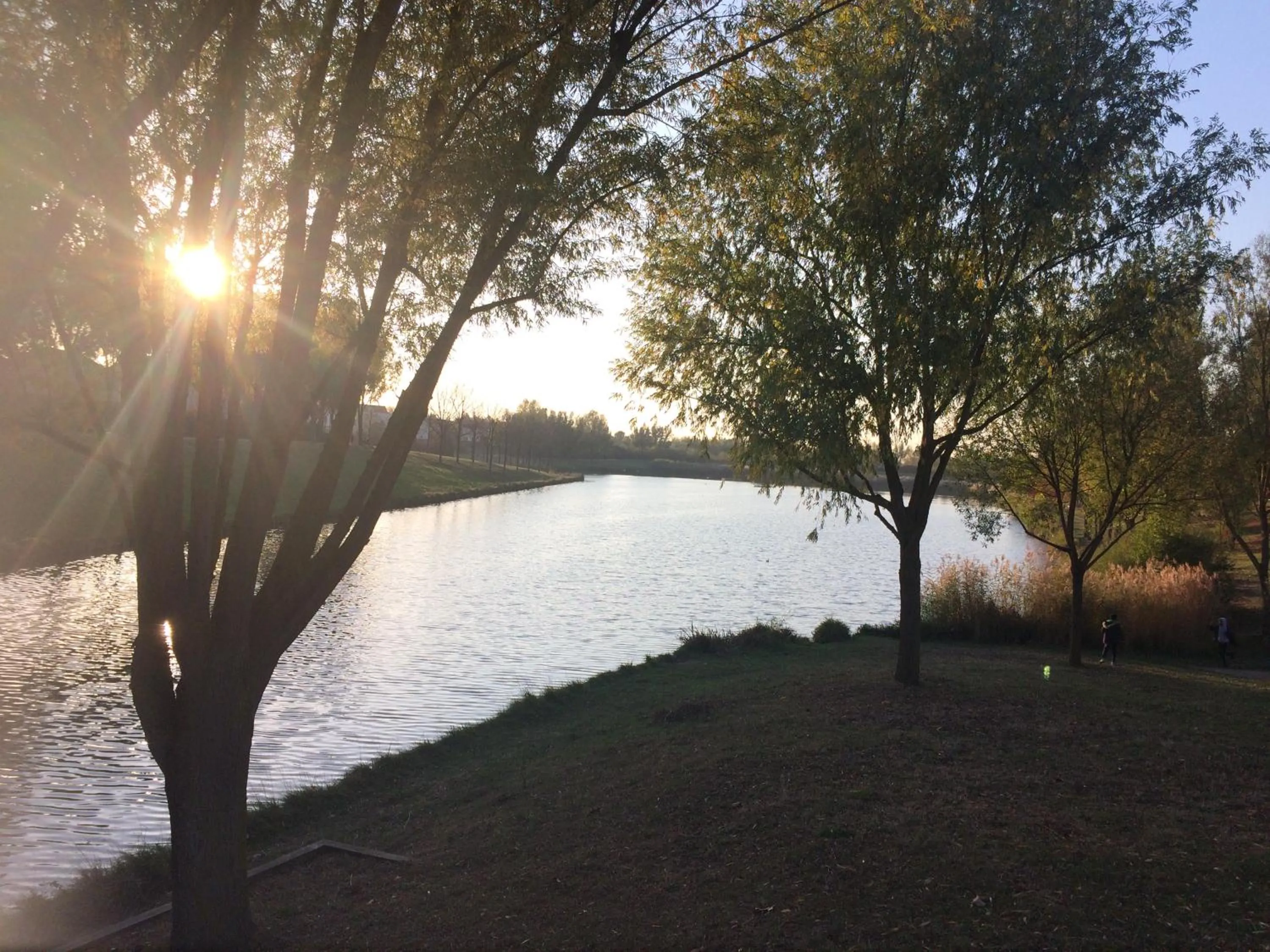 Natural landscape in Au lévrier de chessy
