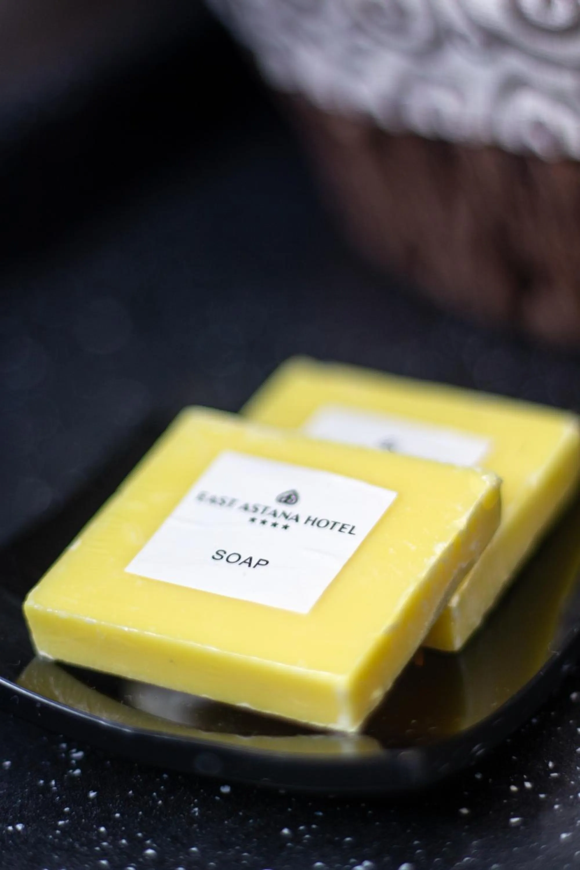 Decorative detail in East Astana Hotel