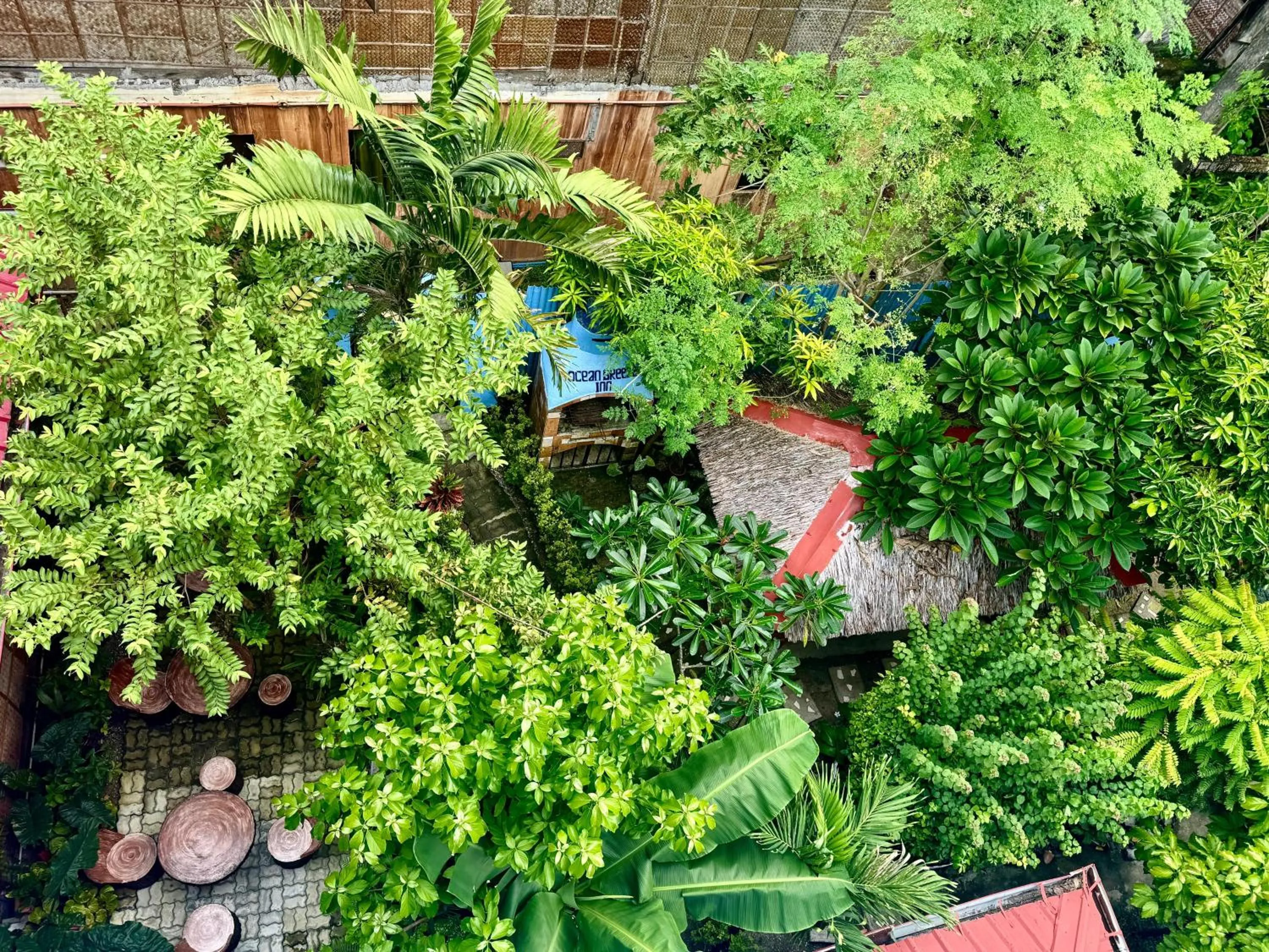 BBQ facilities in Ocean Breeze Inn