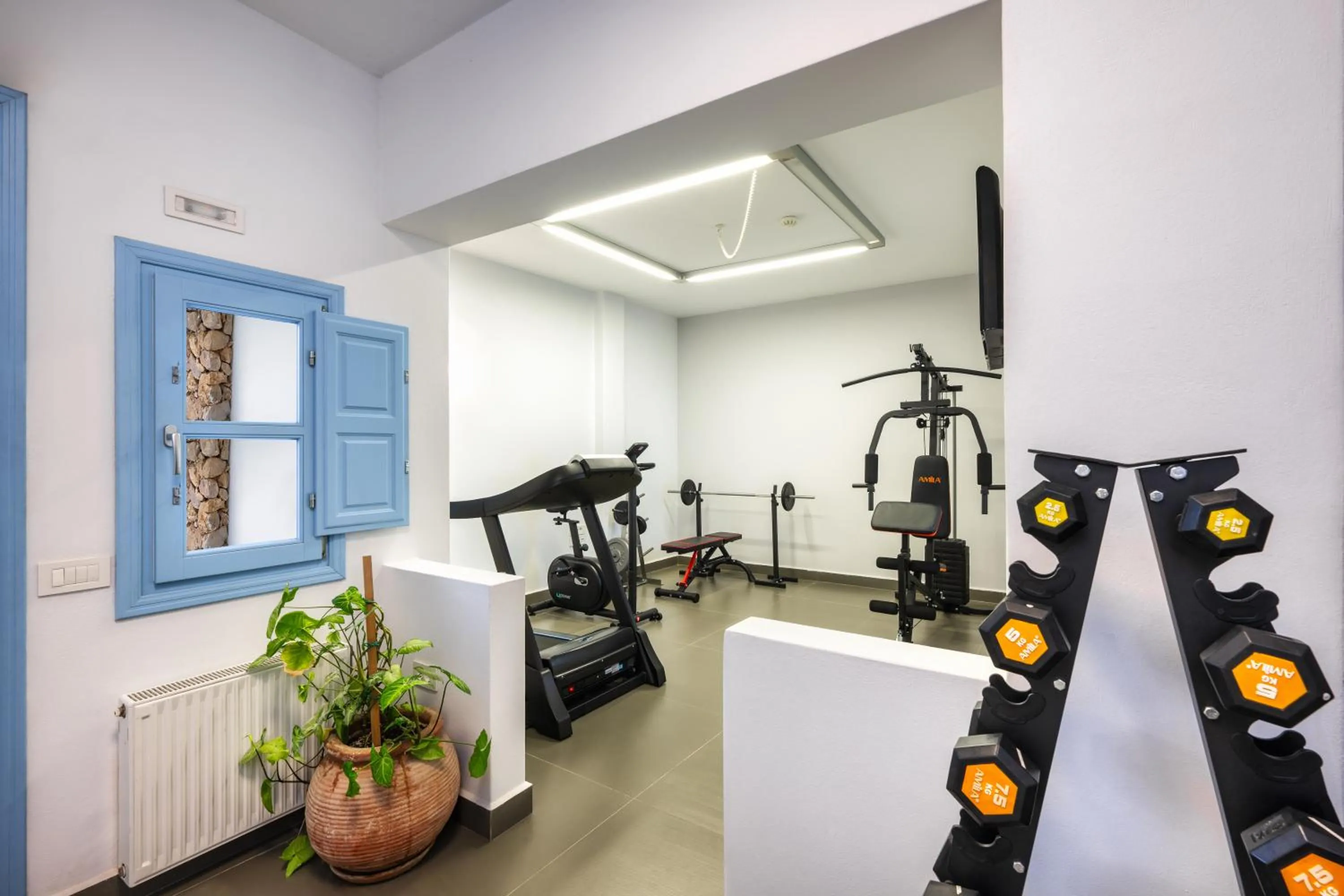 Fitness centre/facilities in Anema Boutique Hotel & Villas Santorini