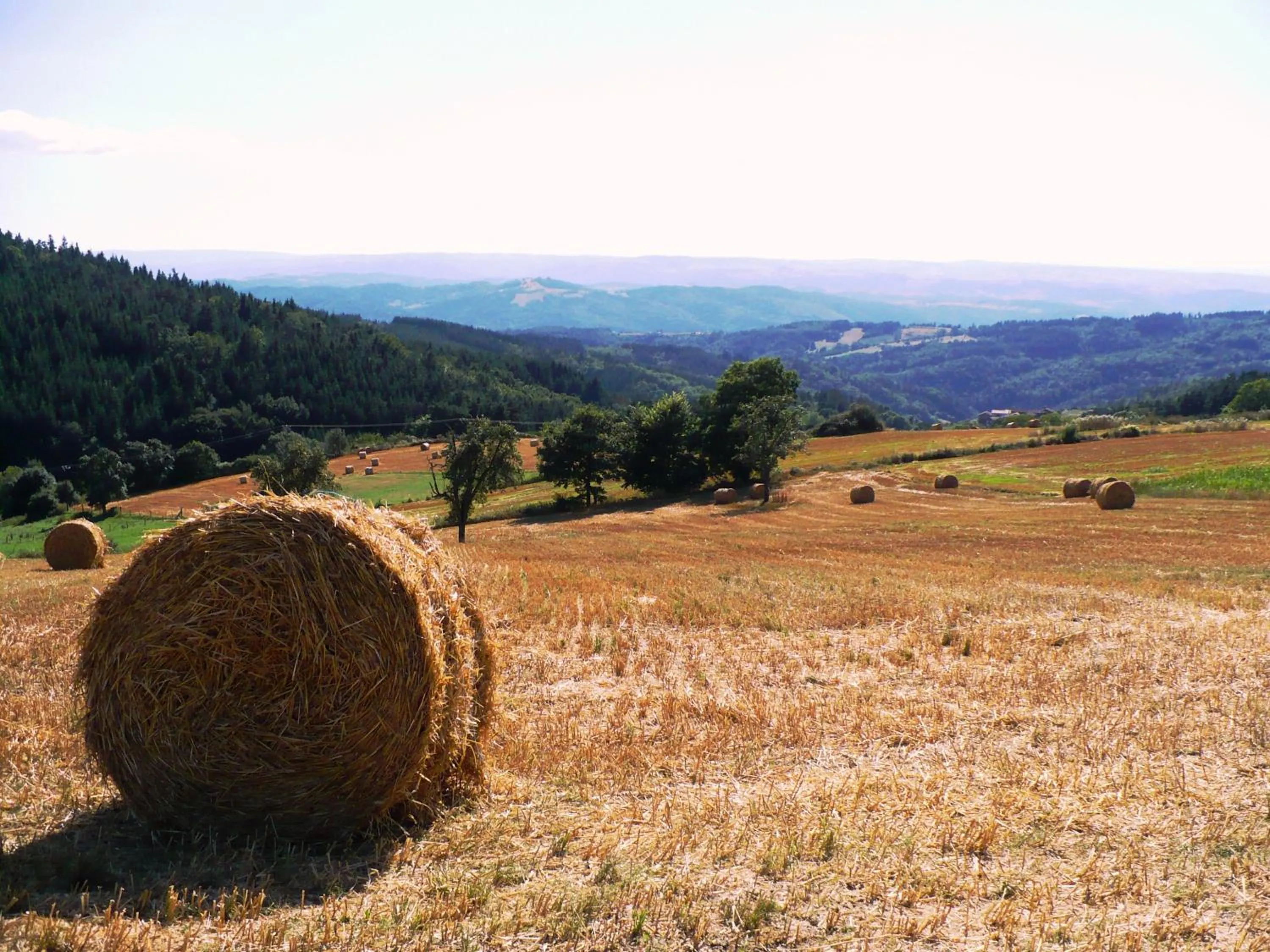 Summer in Le Grand Trianon