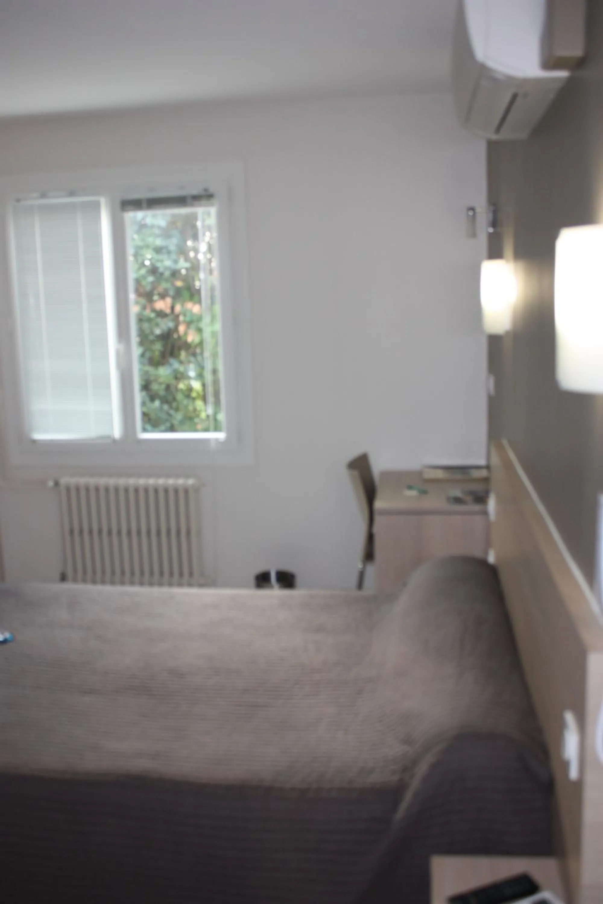 Photo of the whole room, Bed in Logis Hotel Restaurant Le Flamant Rose camargue