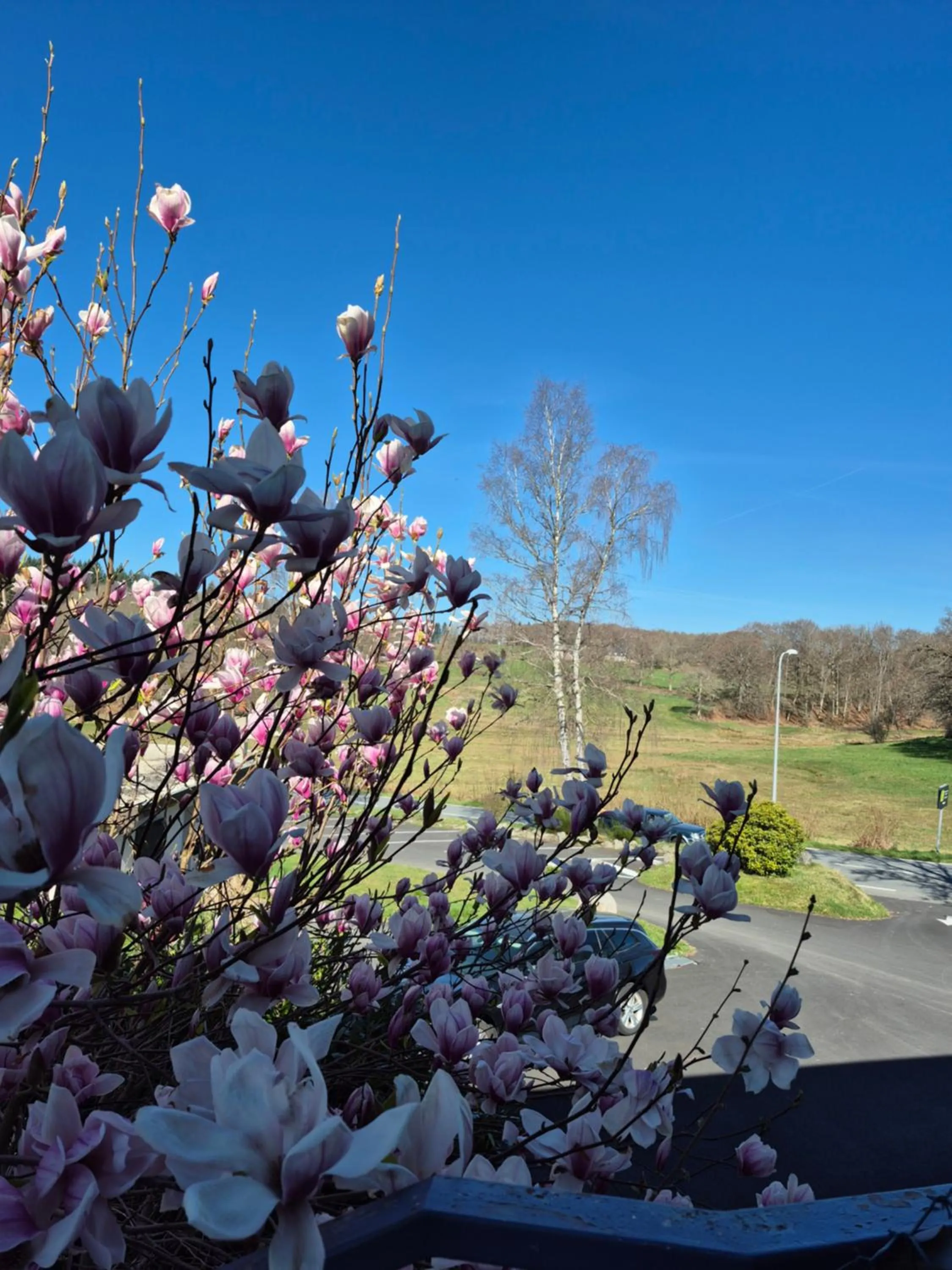 Garden in Logis Hotel Les Gravades Ussel