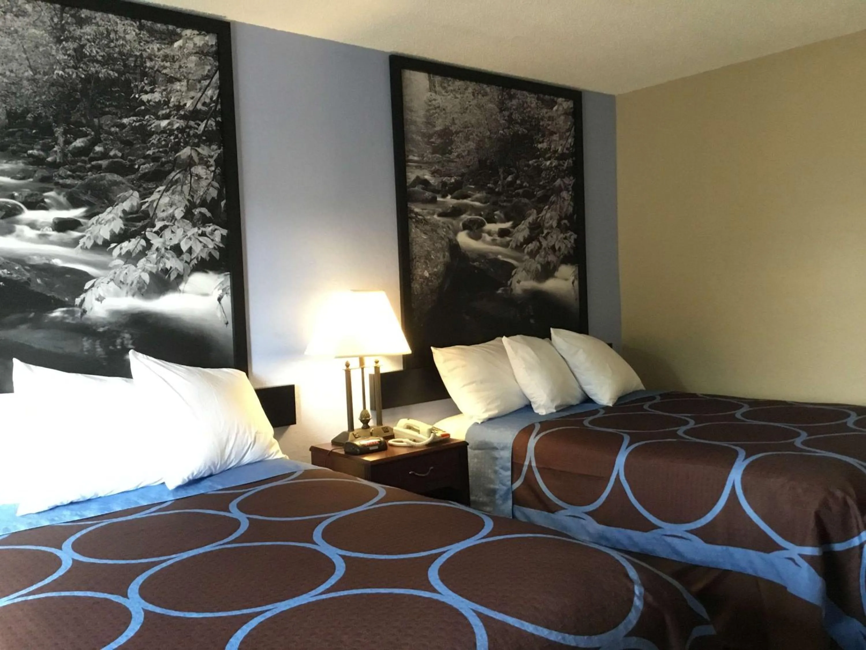 Photo of the whole room in Super 8 by Wyndham Gardner