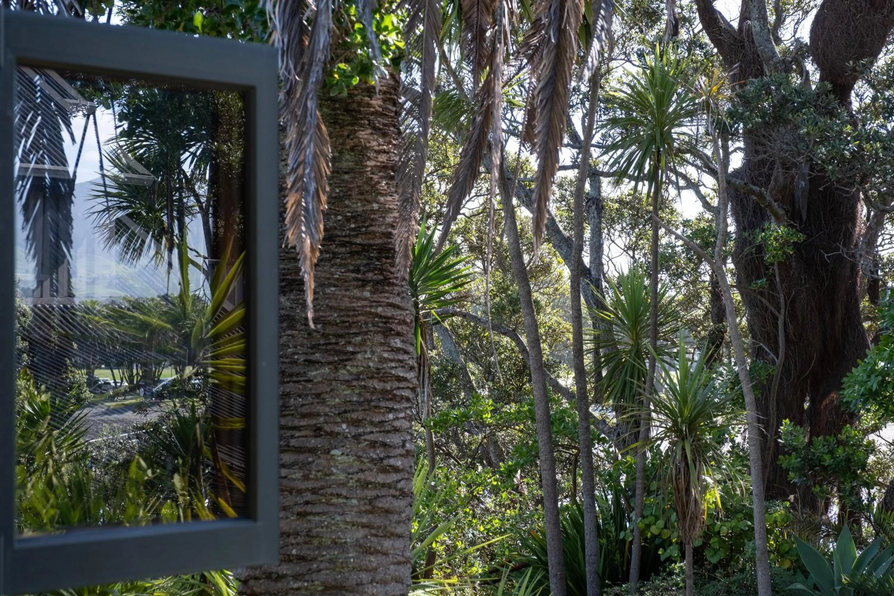 Bow Street Apartments & Cottage