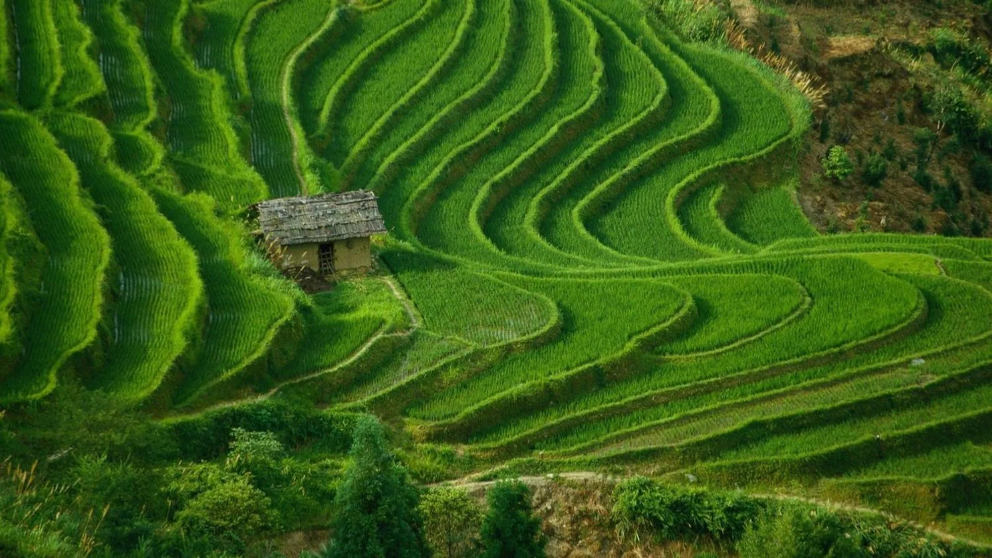 Natural landscape in Georgina Estate by Villas Direct Bali