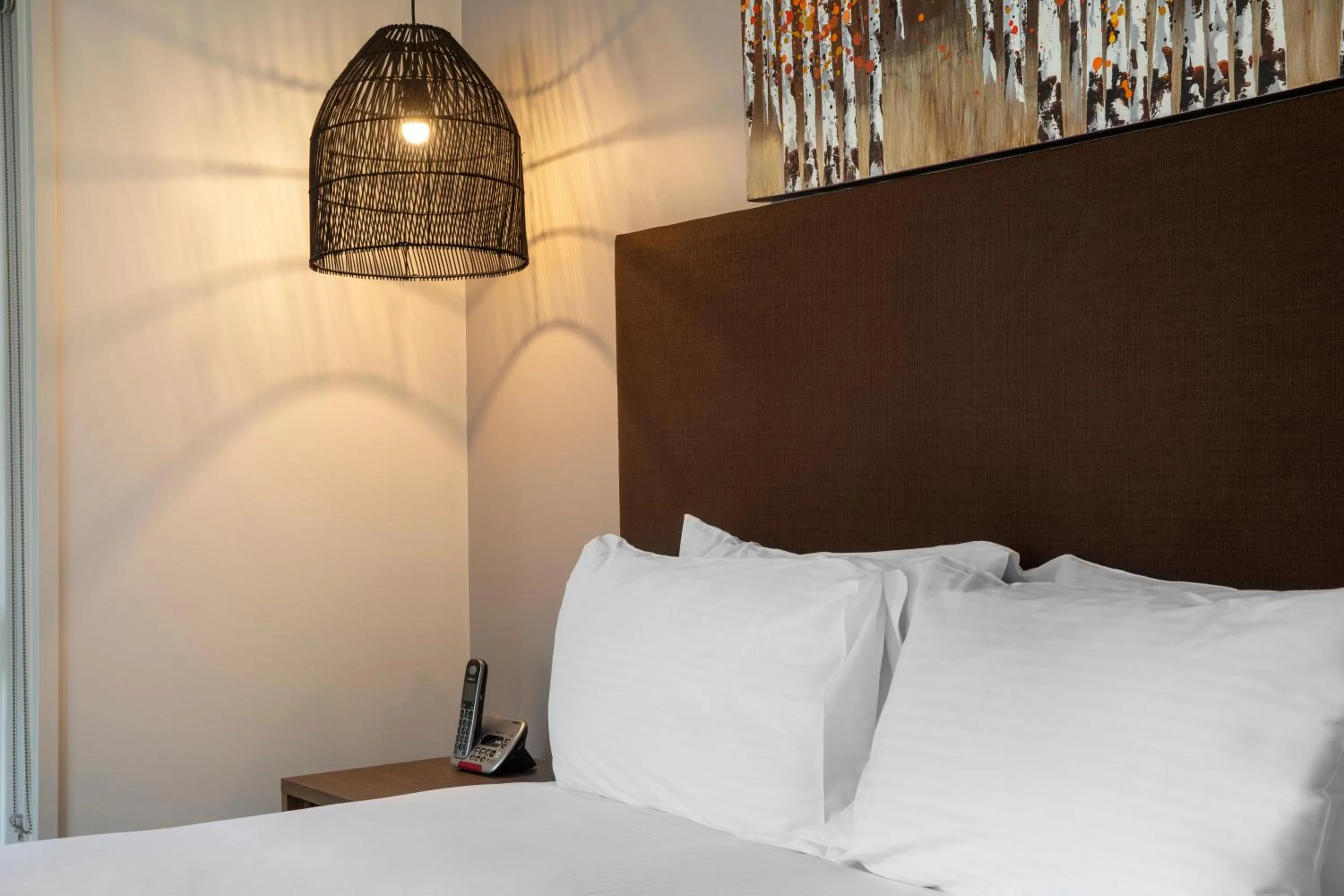 Bed in Nightelier Doncaster