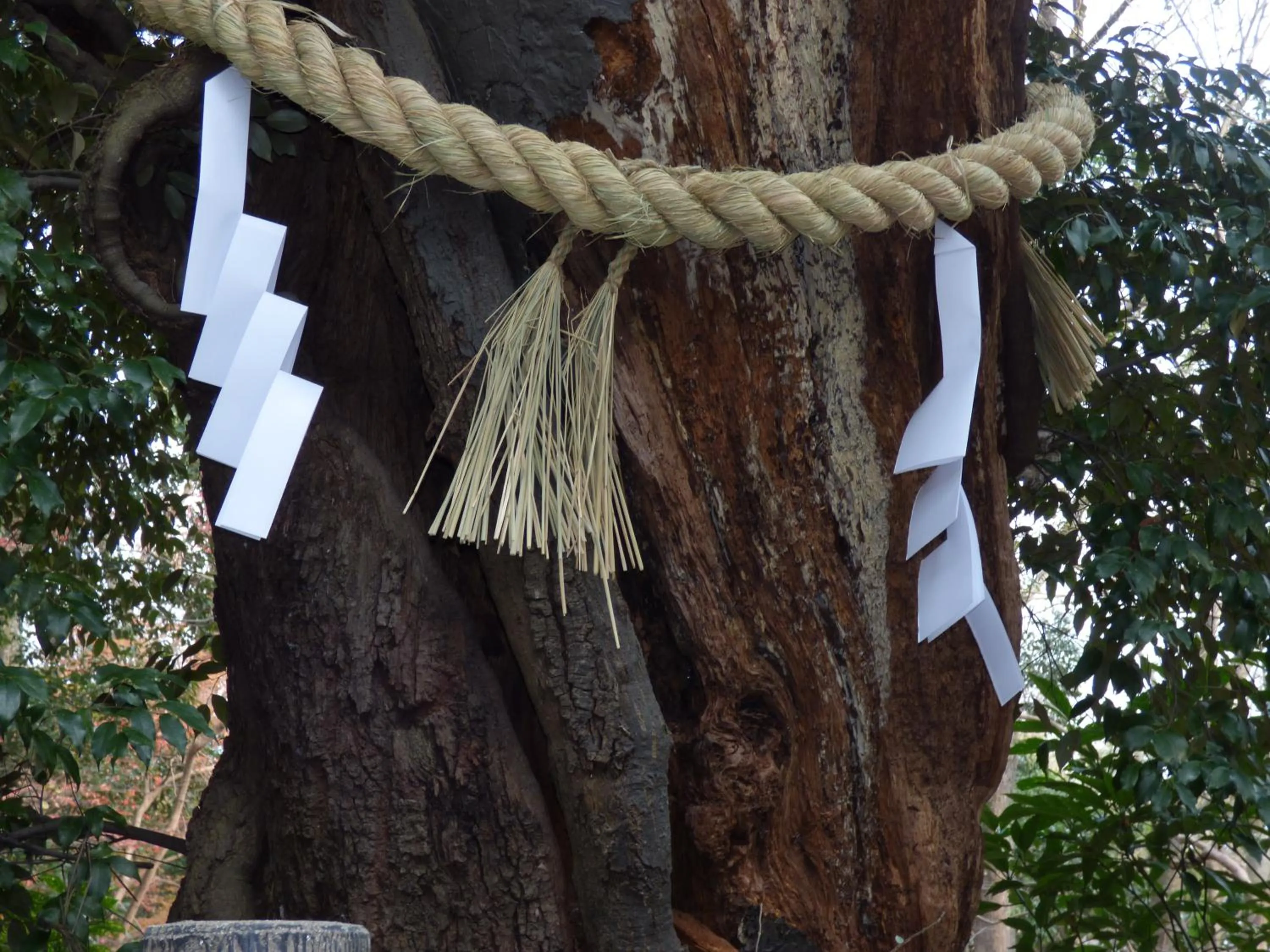 Nearby landmark in Guesthouse Hyakumanben Cross