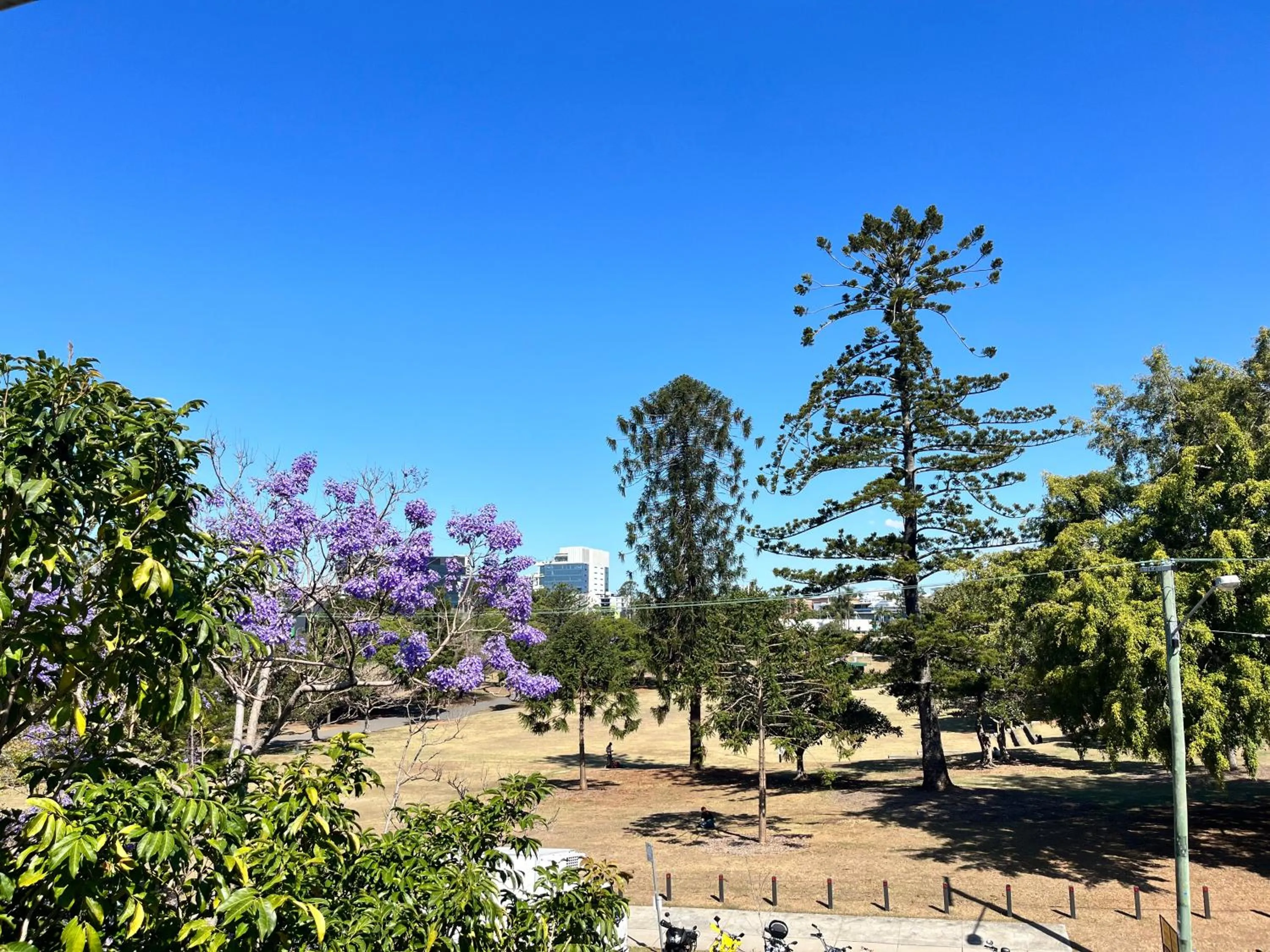 Garden view in Parkview Apartments