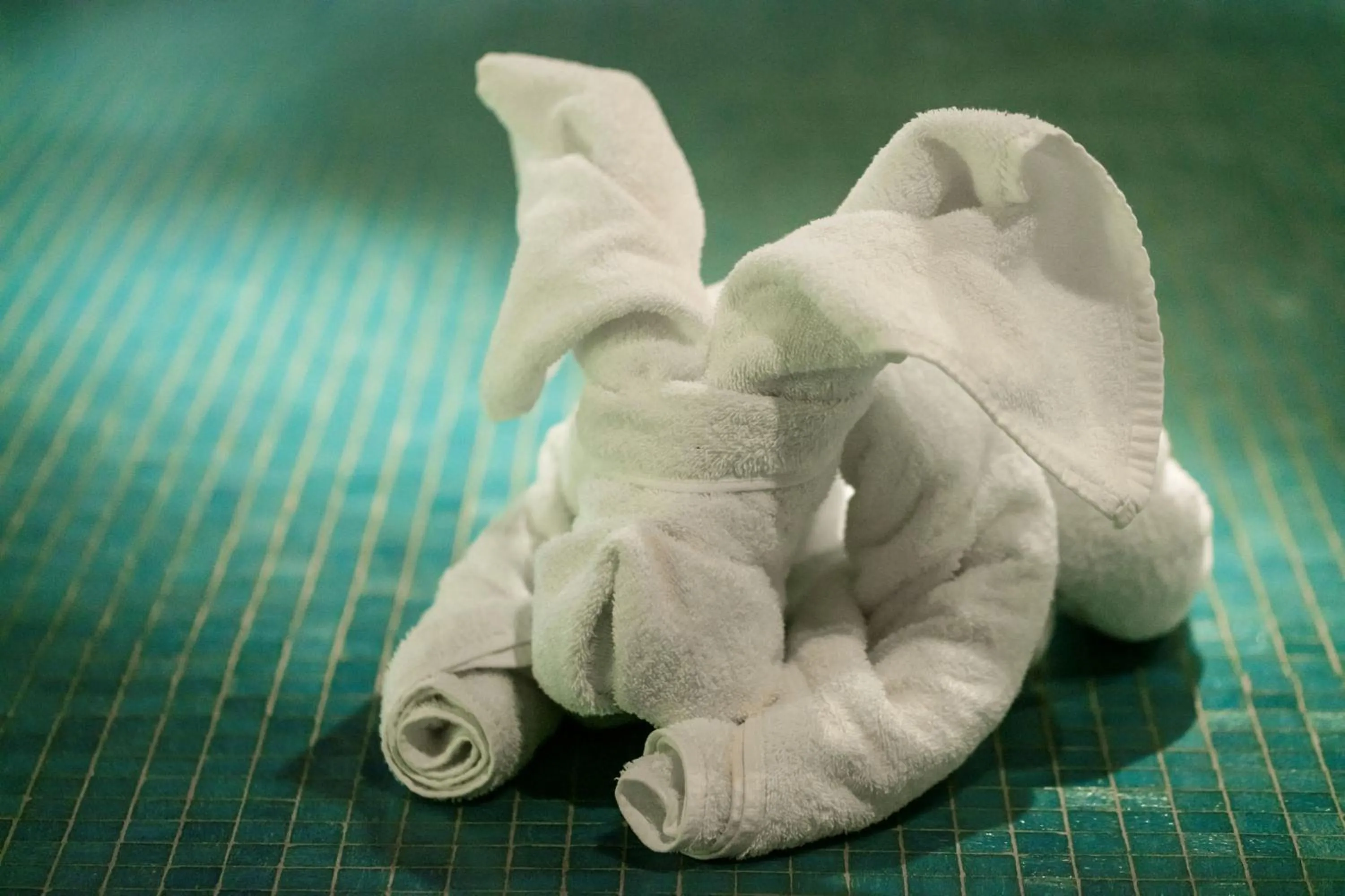 Spa and wellness centre/facilities in Alpenlodge - Das Dorfhotel