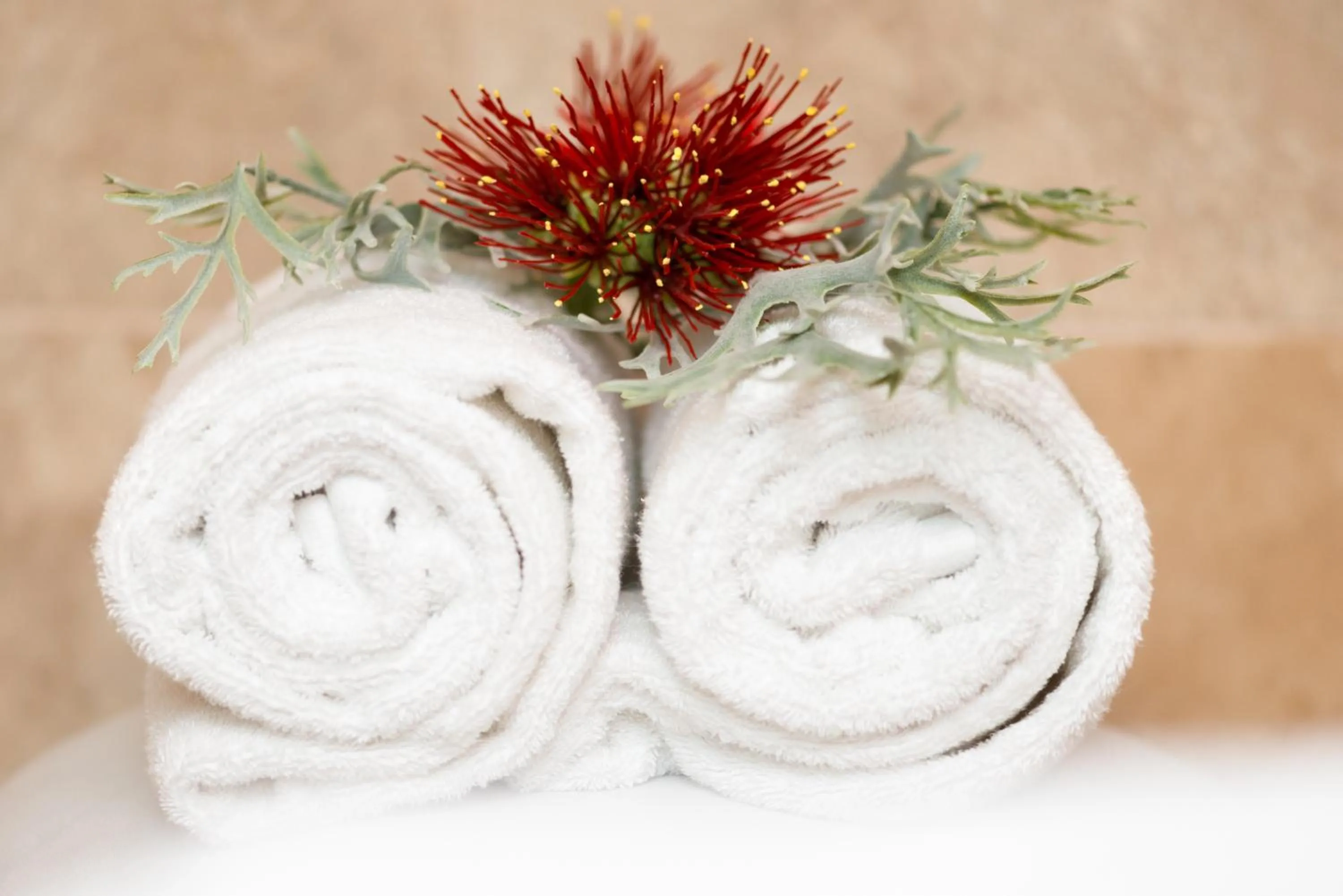 Spa and wellness centre/facilities in Paihia Beach Resort & Spa Hotel