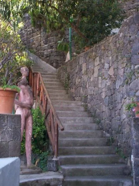 Garden in Hotel Villa Antonio