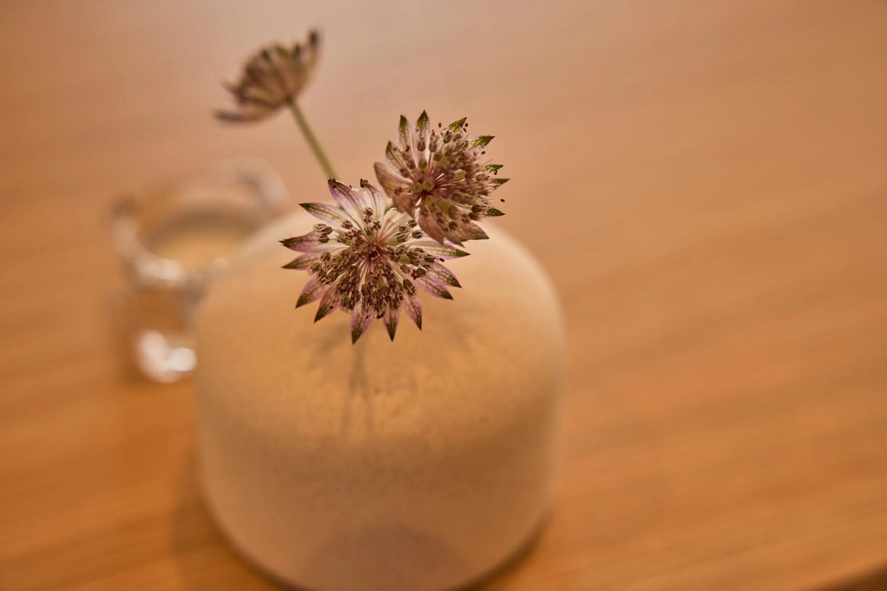 Decorative detail in Strandhotel Klitrosen