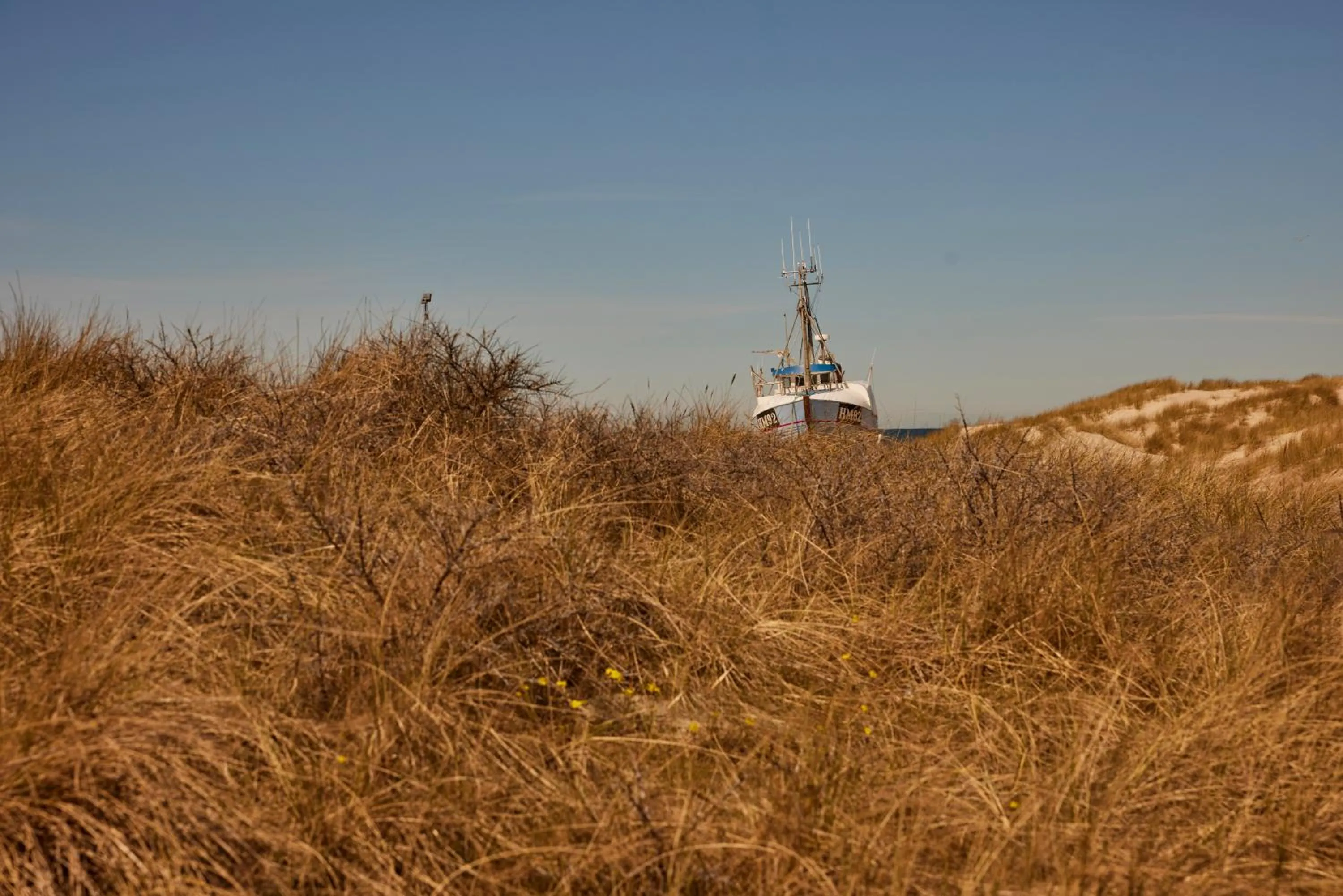 Beach in Strandhotel Klitrosen