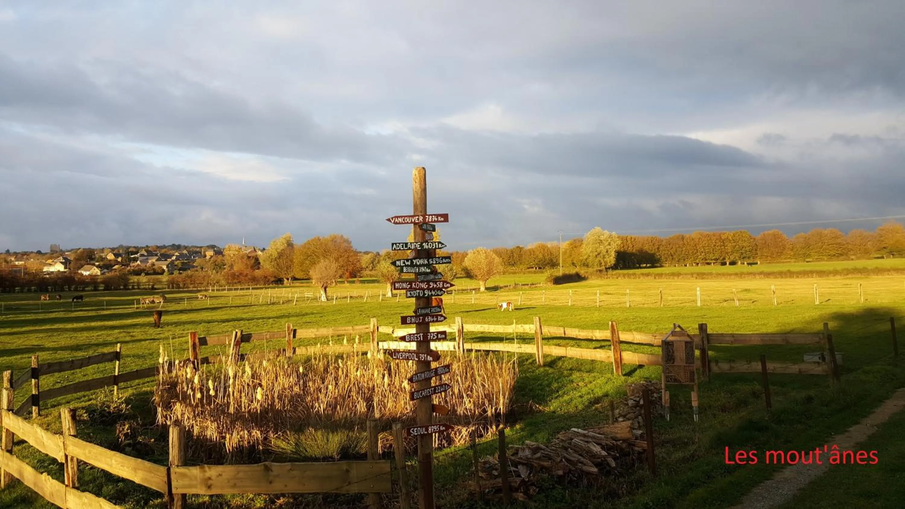 Autumn in Les Mout'Anes