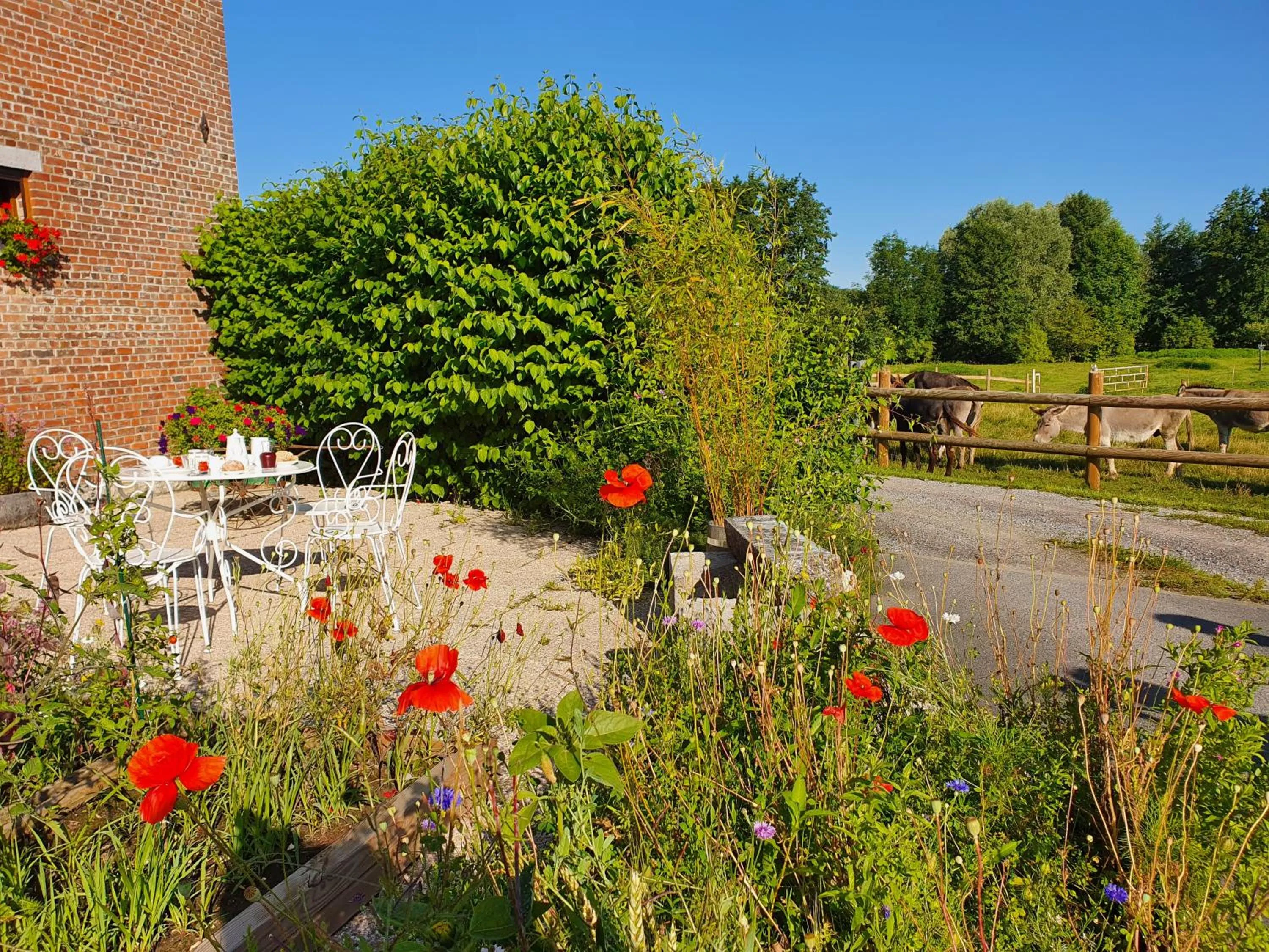 Garden view in Les Mout'Anes