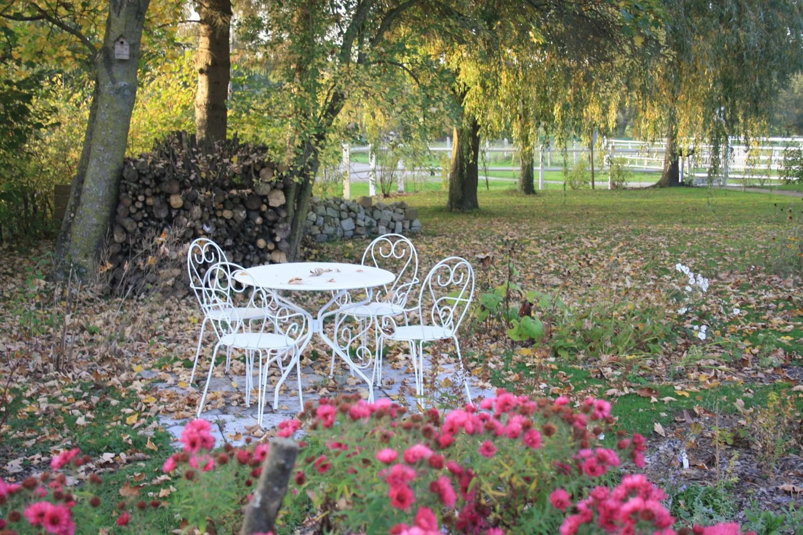 Garden in Les Mout'Anes