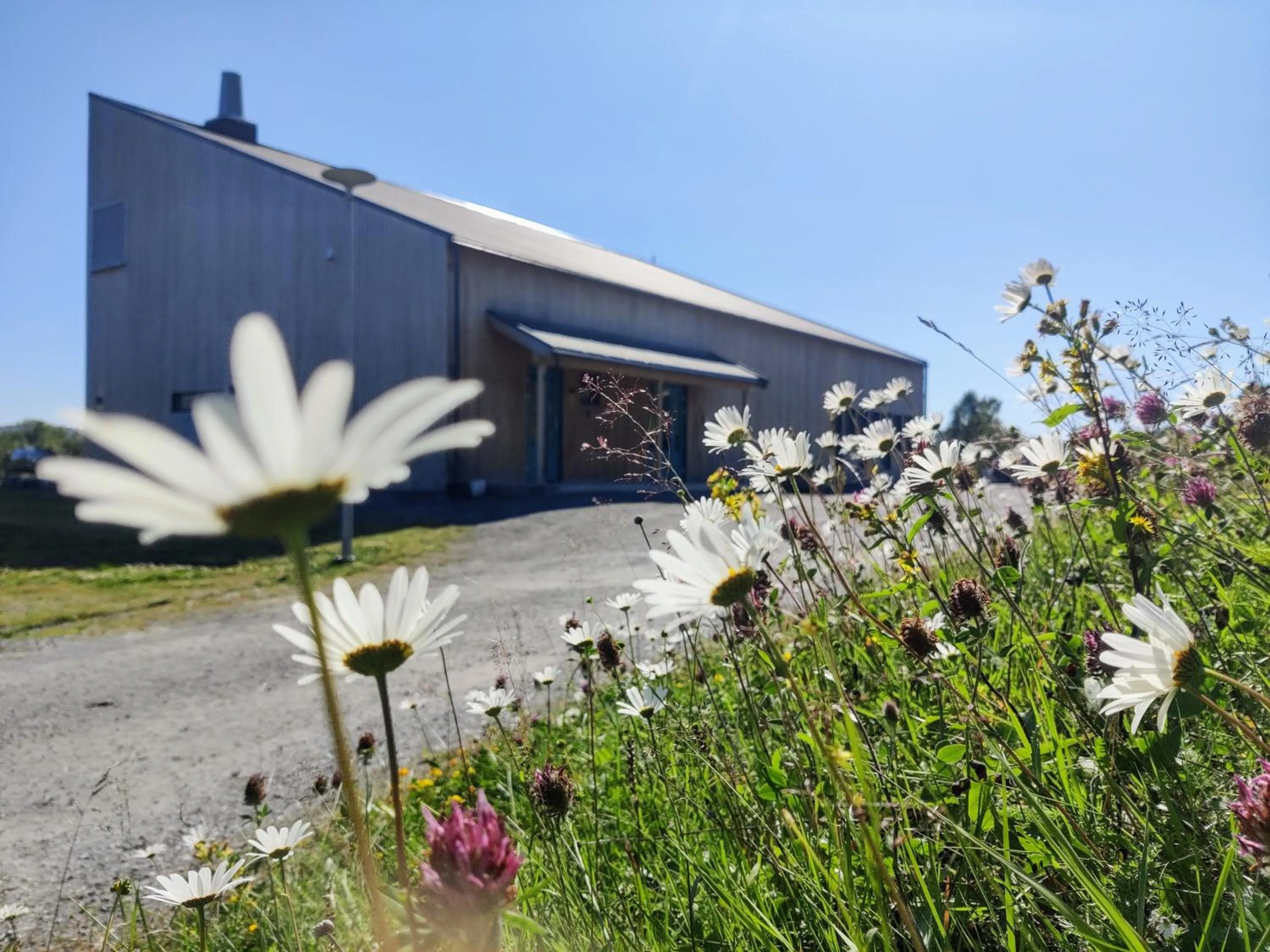 Property building in Skoghus