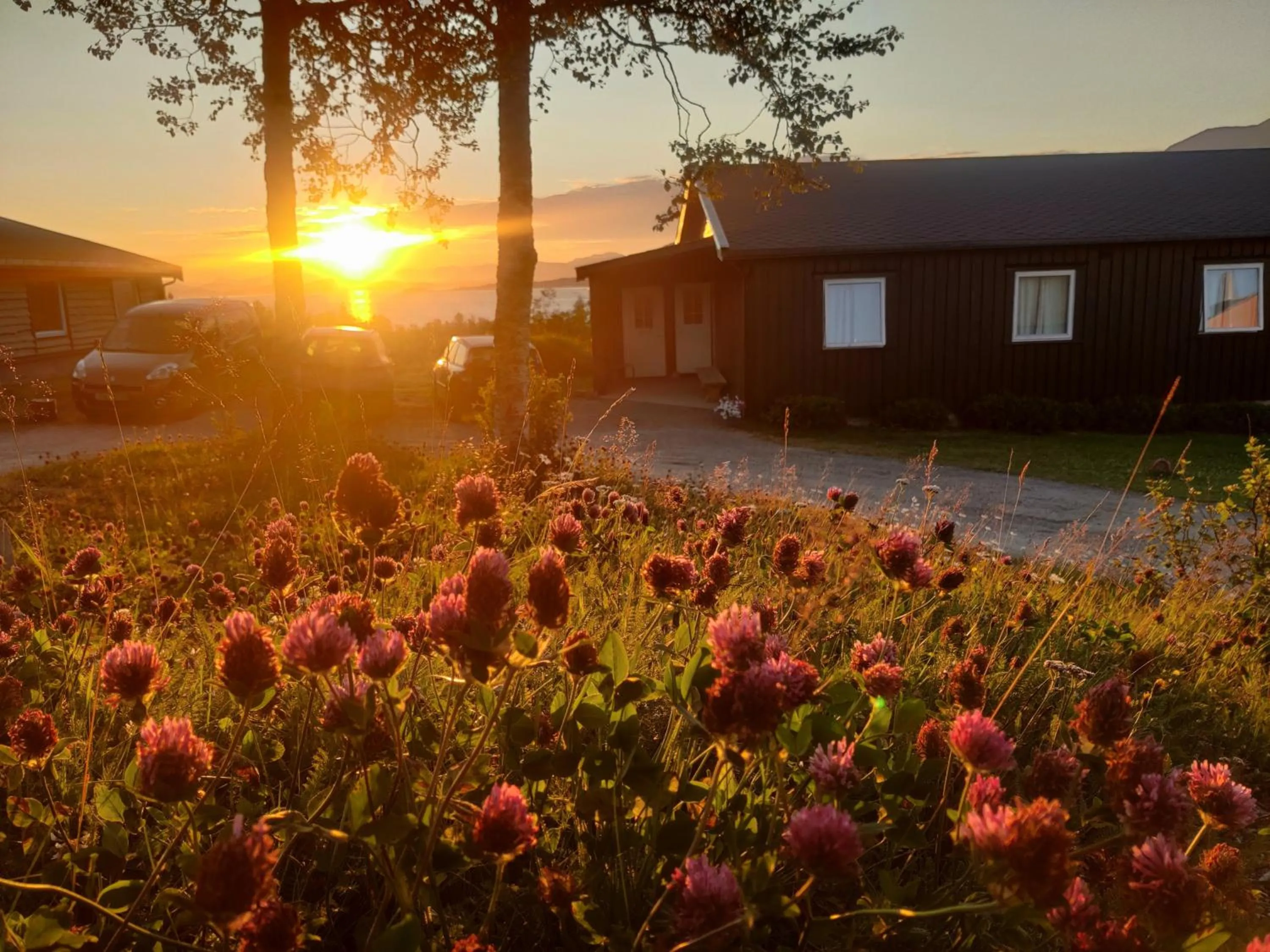 Property building in Skoghus