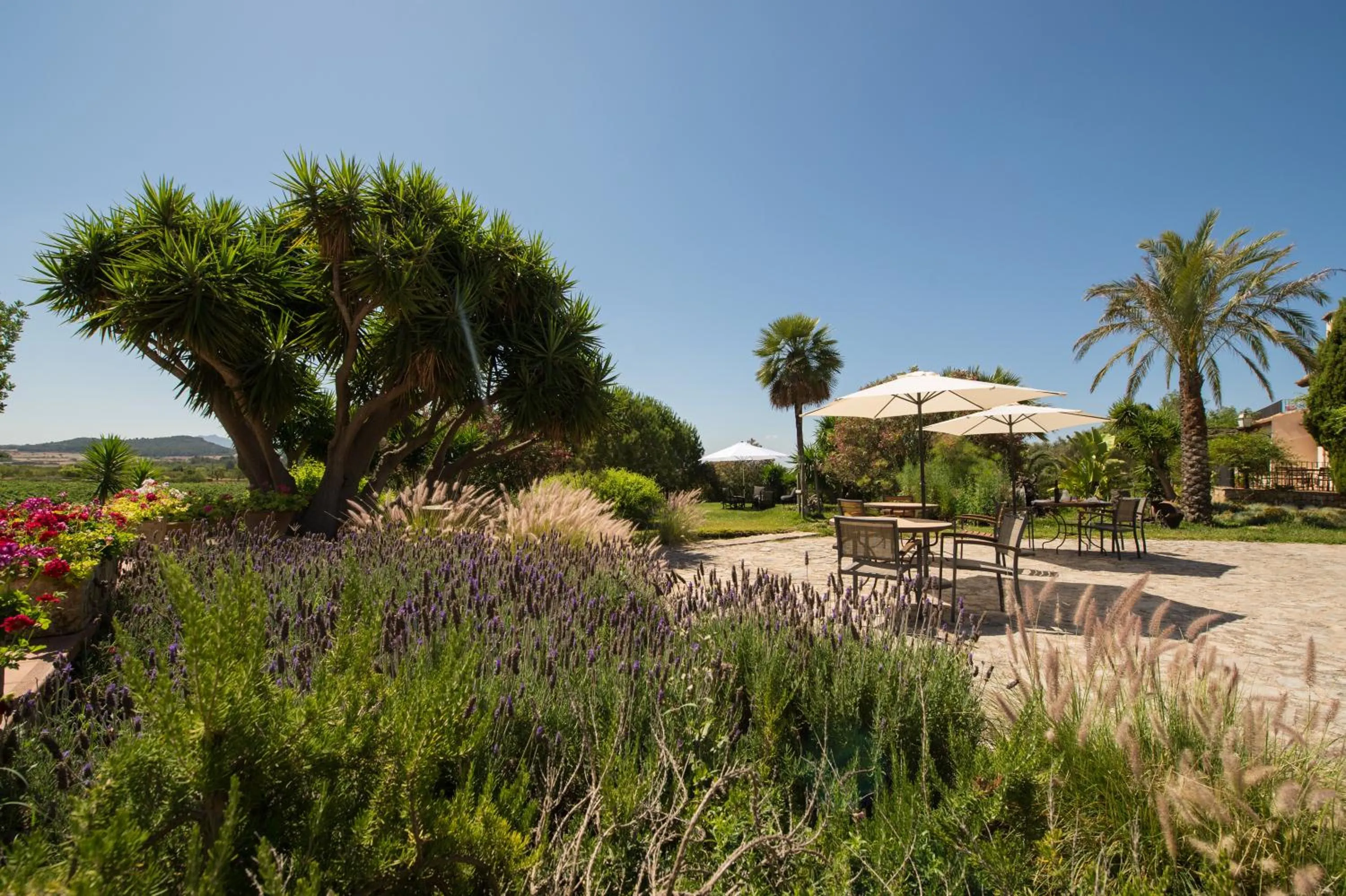 Garden in Agroturismo Can Feliu