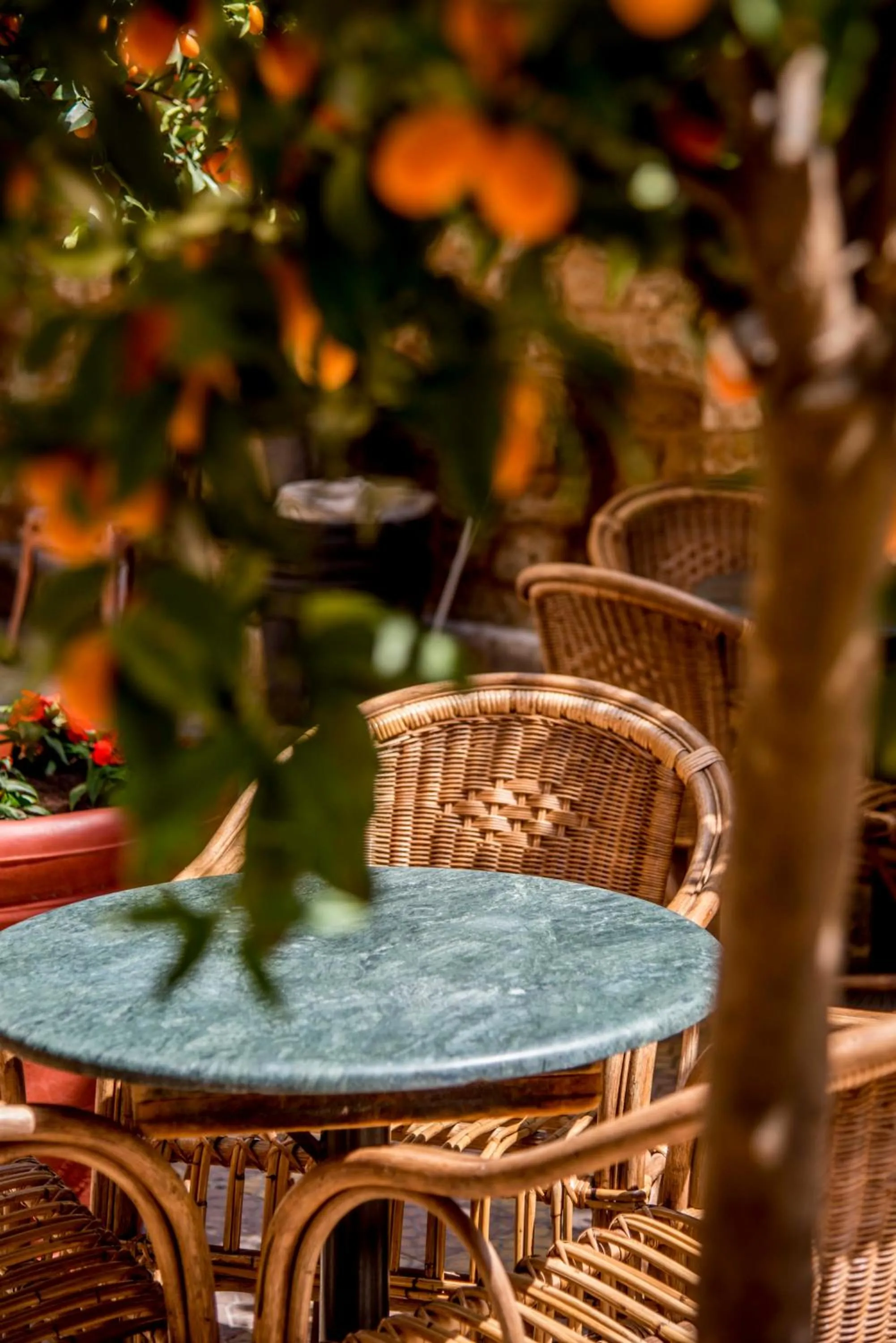 Breakfast in Dar Camelia