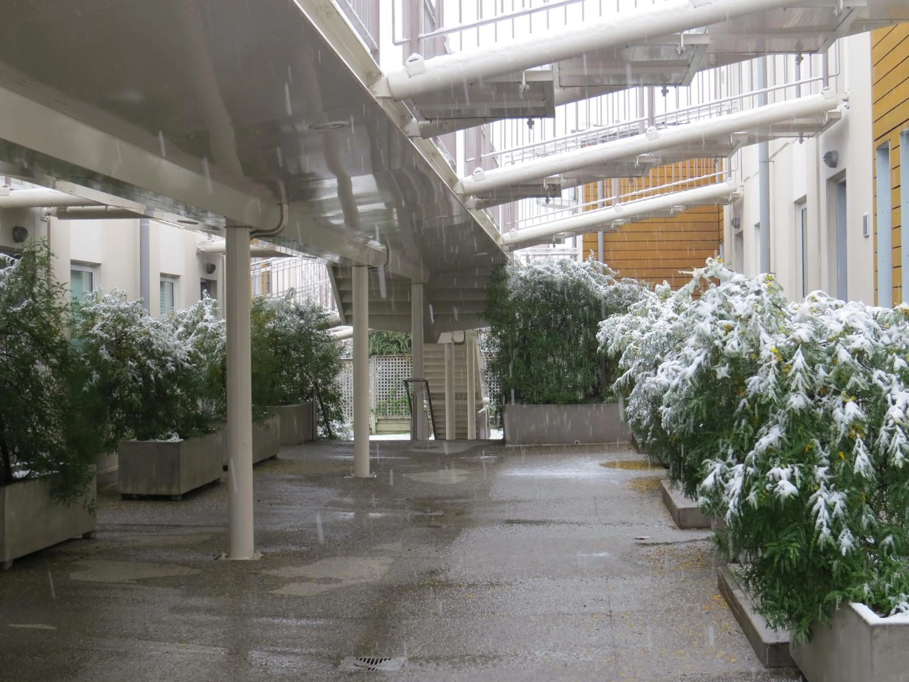Inner courtyard view in Belvedere Apartments