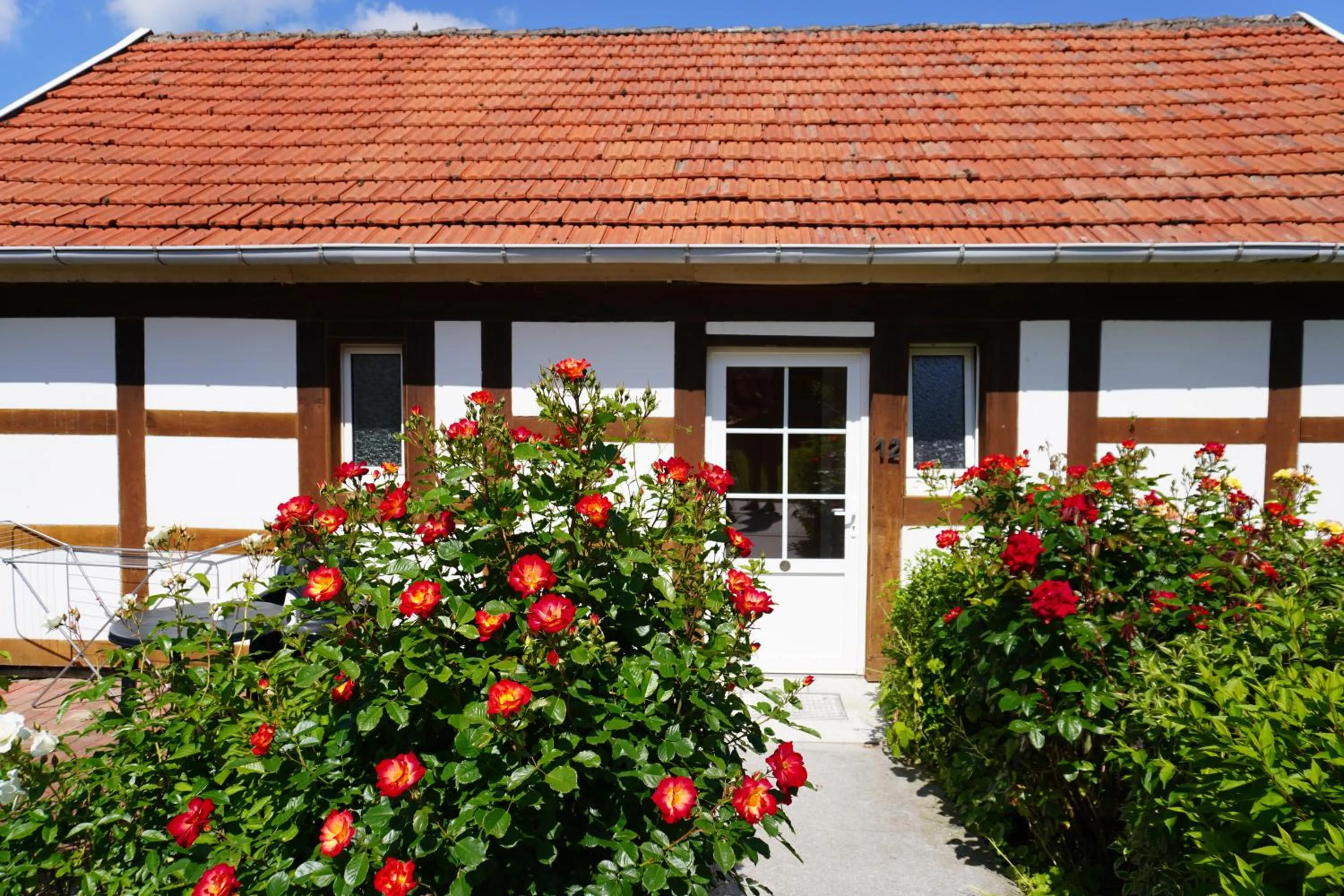 Garden in Alcor Hotel Feriendorf an der Ostsee