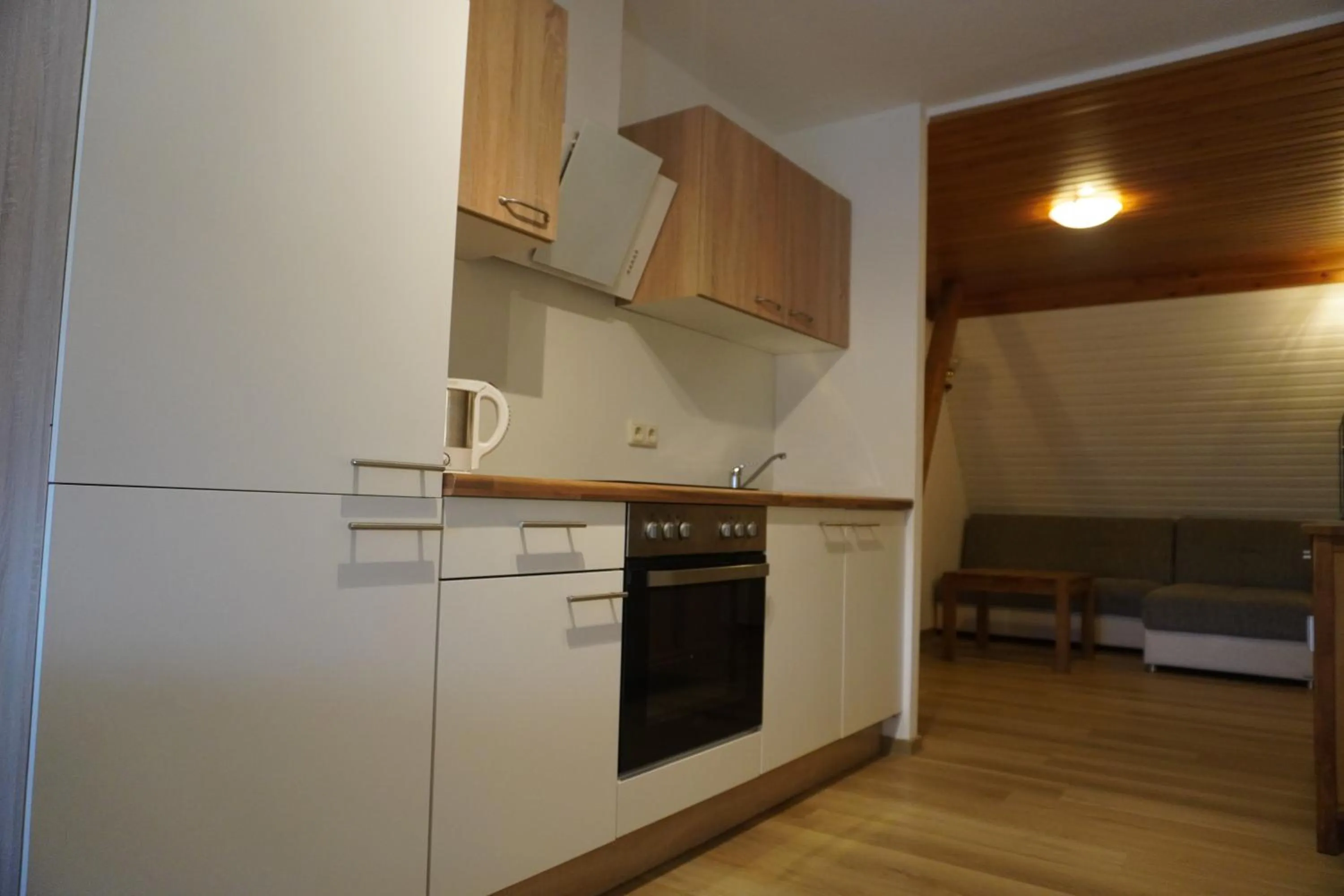 Kitchen or kitchenette in Alcor Hotel Feriendorf an der Ostsee