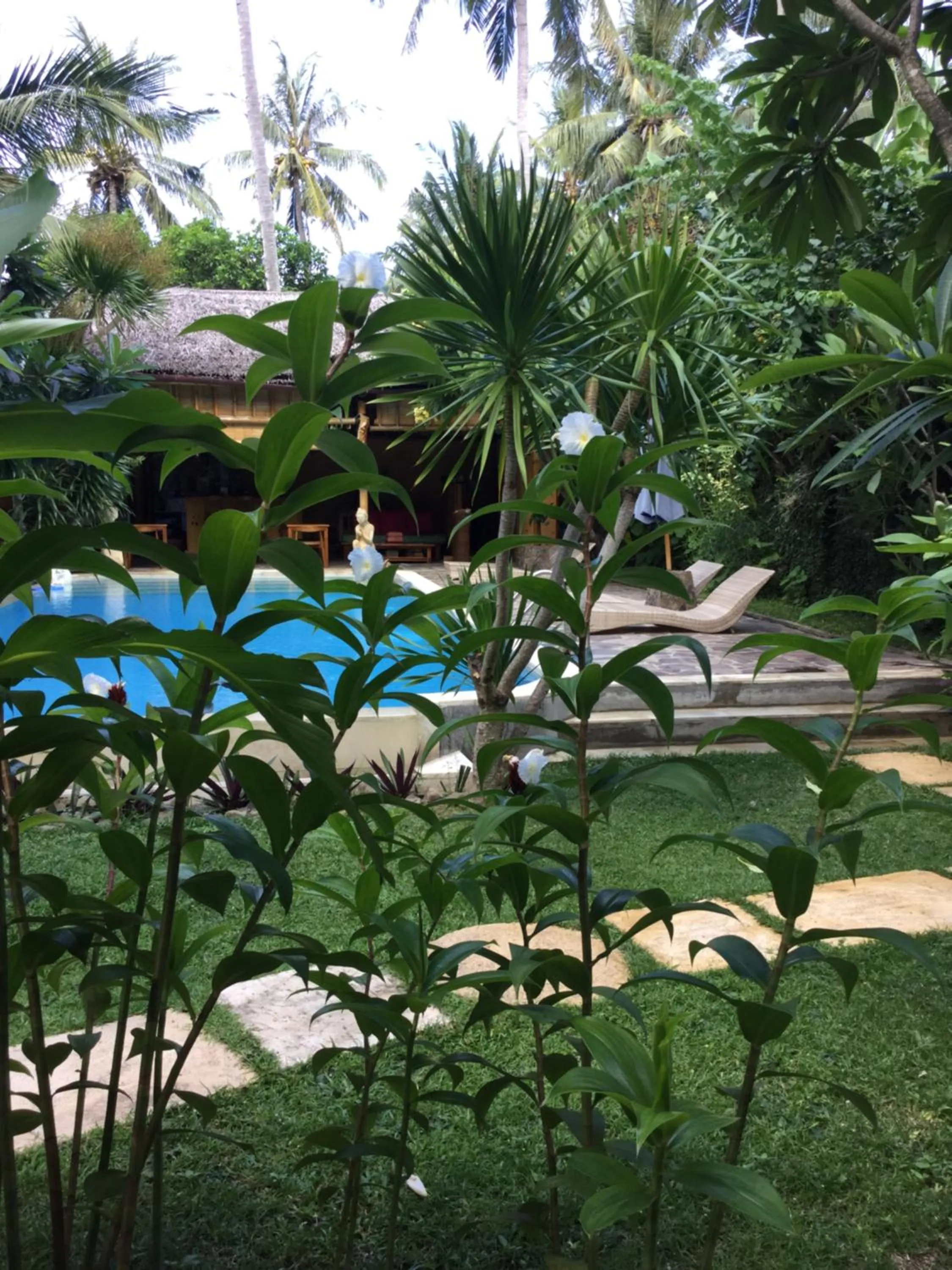 Garden view in Villa Jati Mangsit