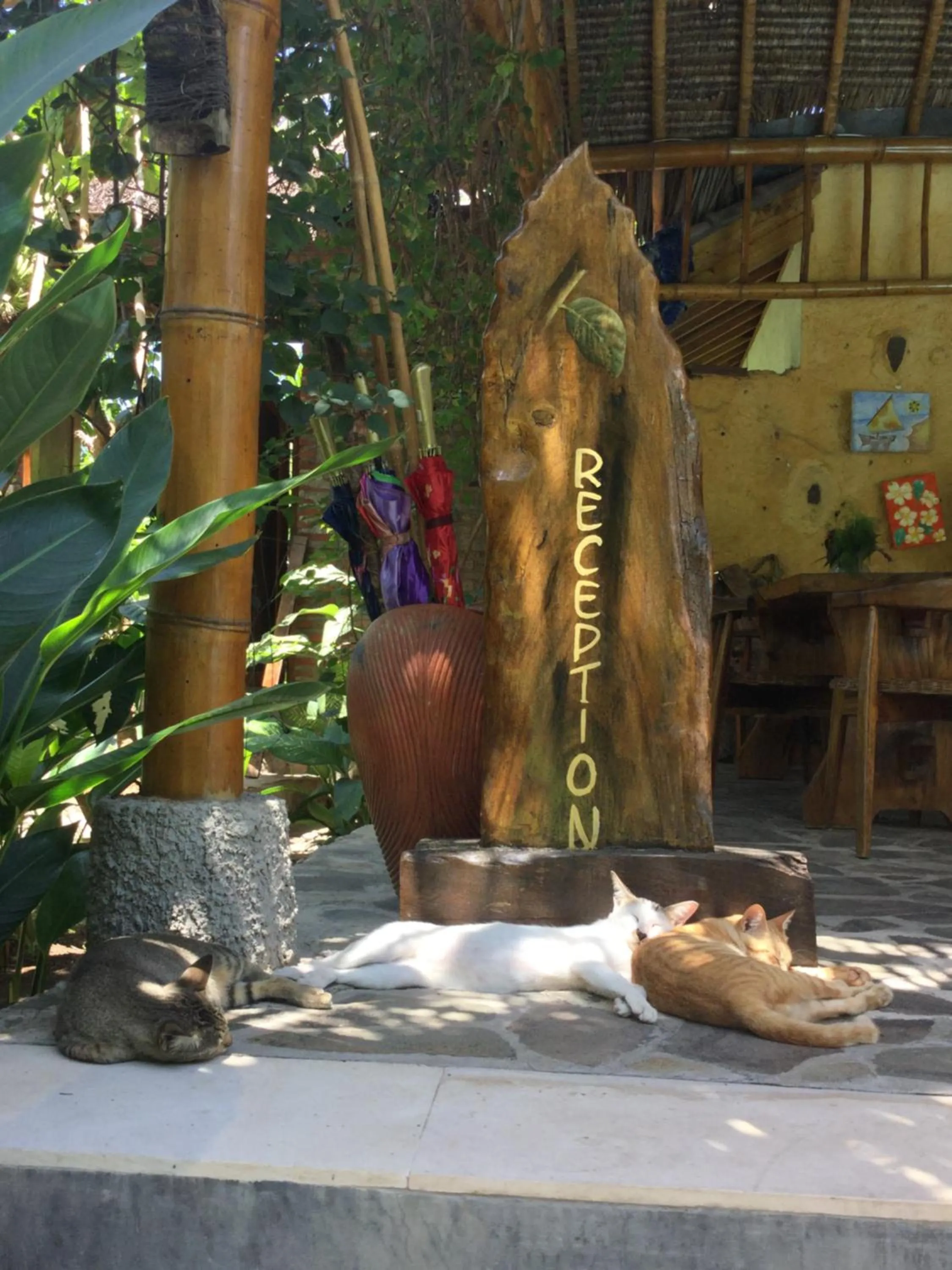 Pets in Villa Jati Mangsit