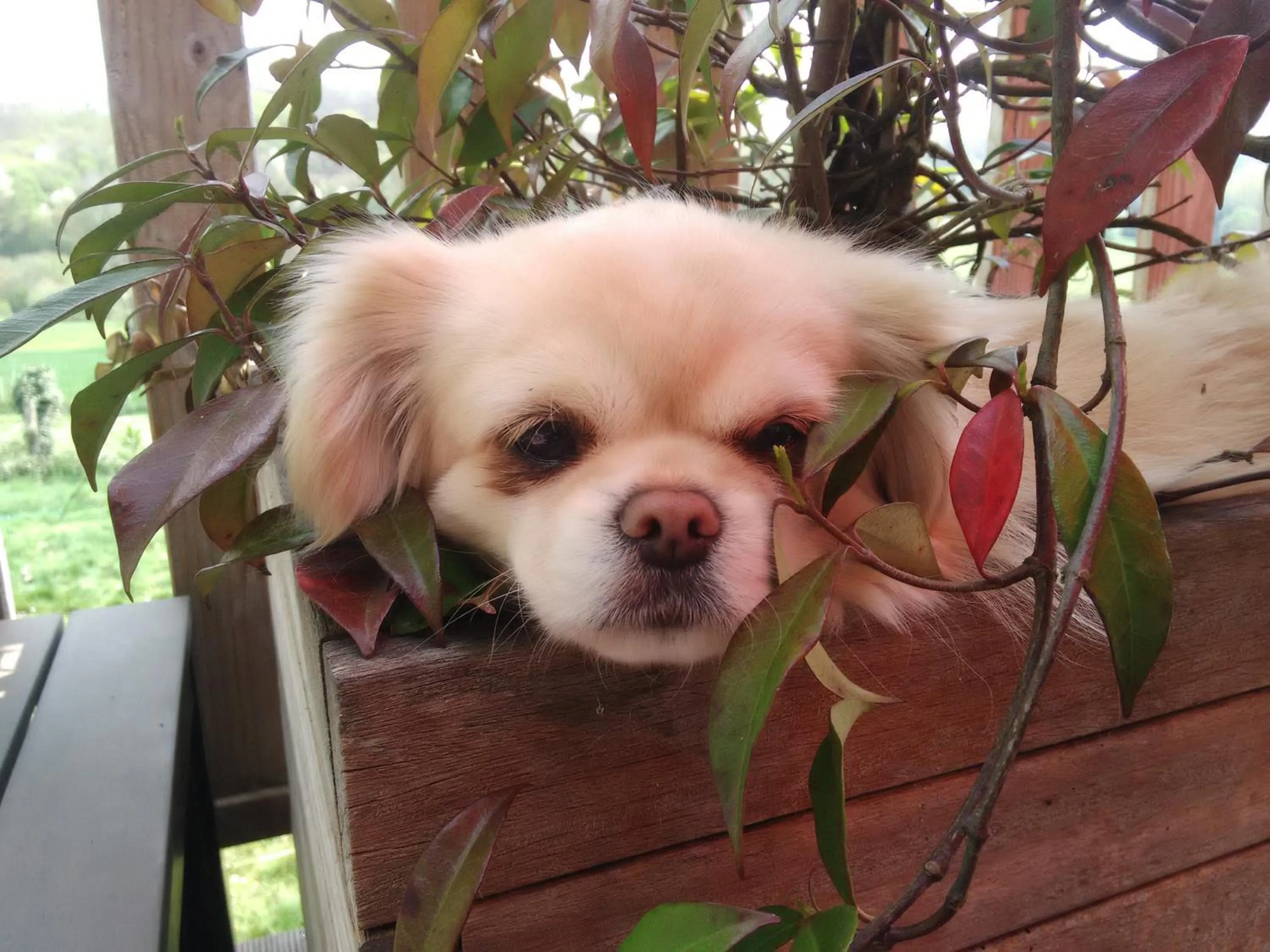 Other in La Haute Forge B&B