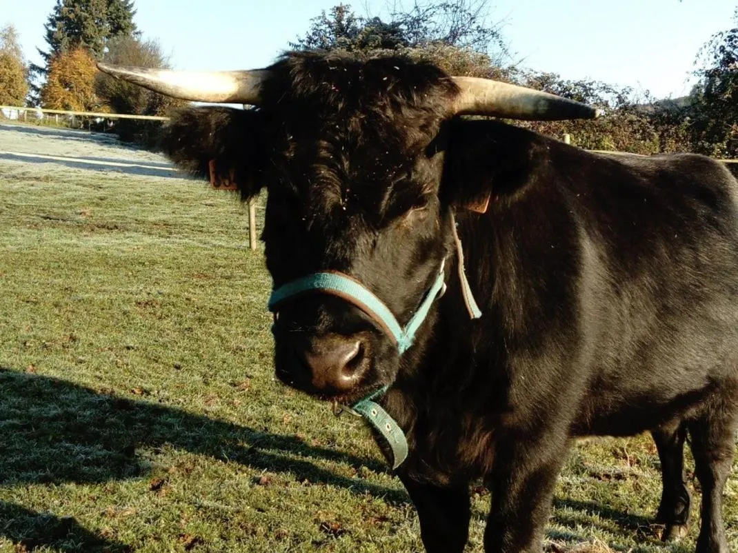 Other in La Haute Forge B&B