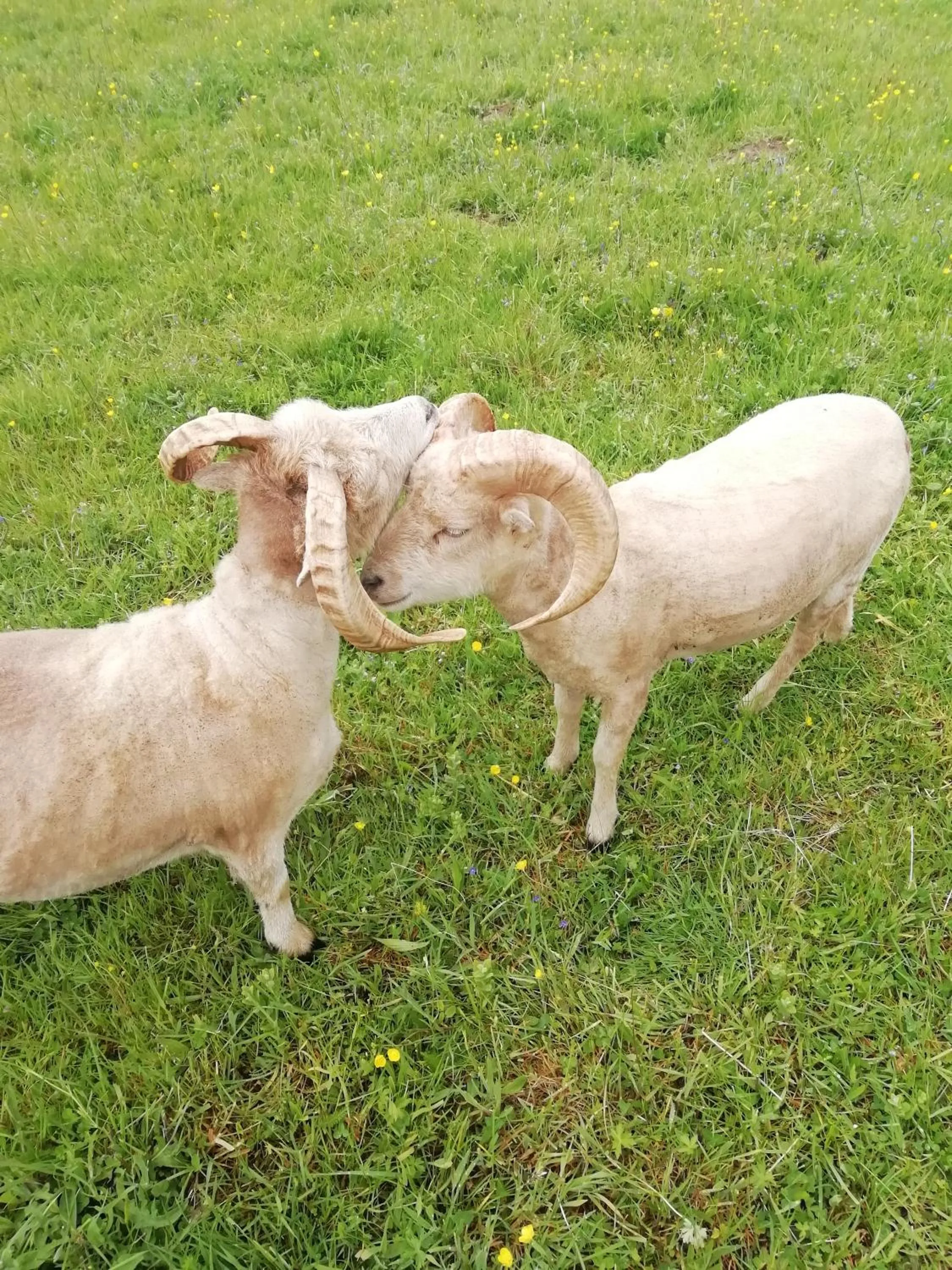 Other in La Haute Forge B&B