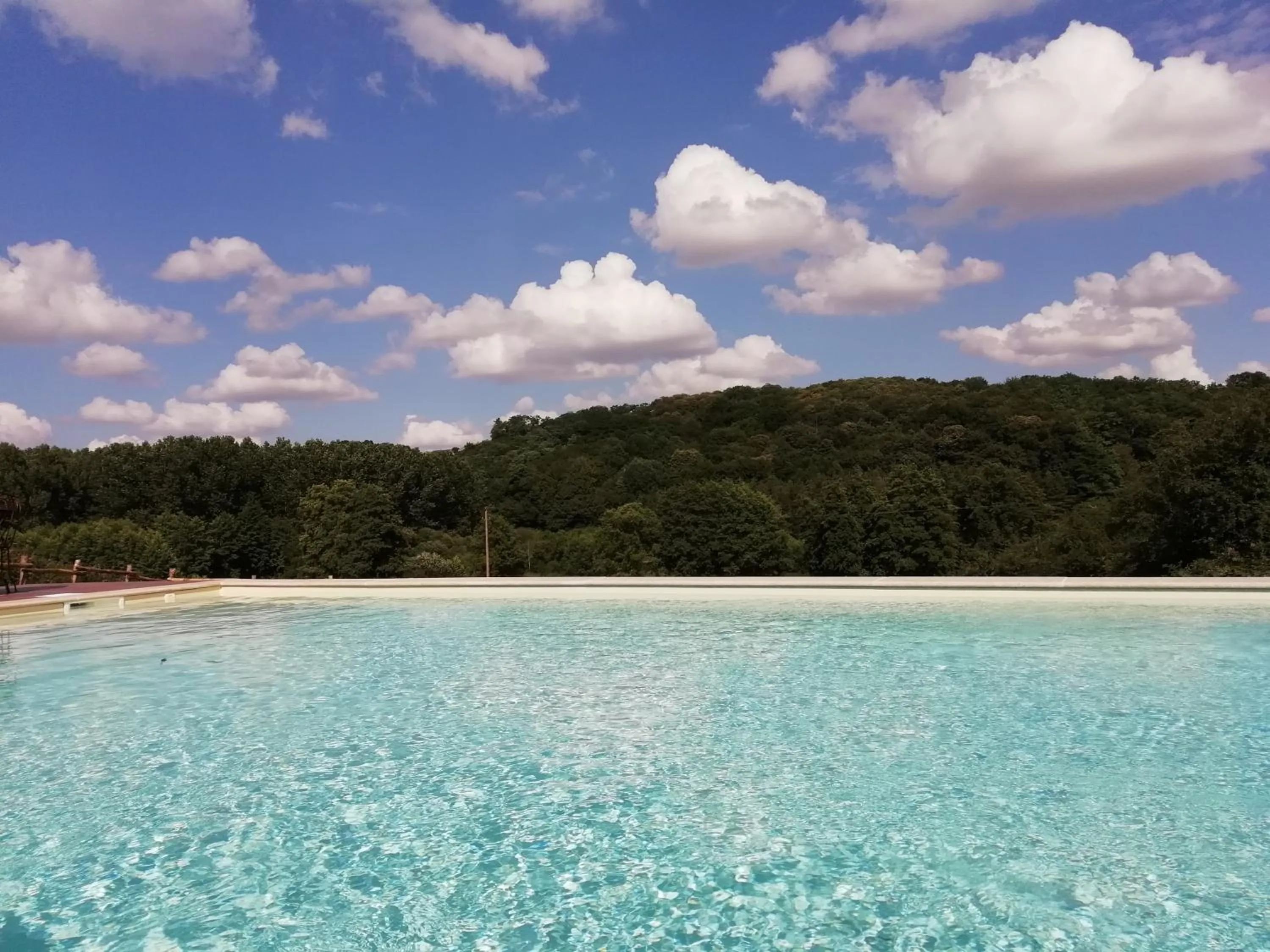 Pool view in La Haute Forge B&B