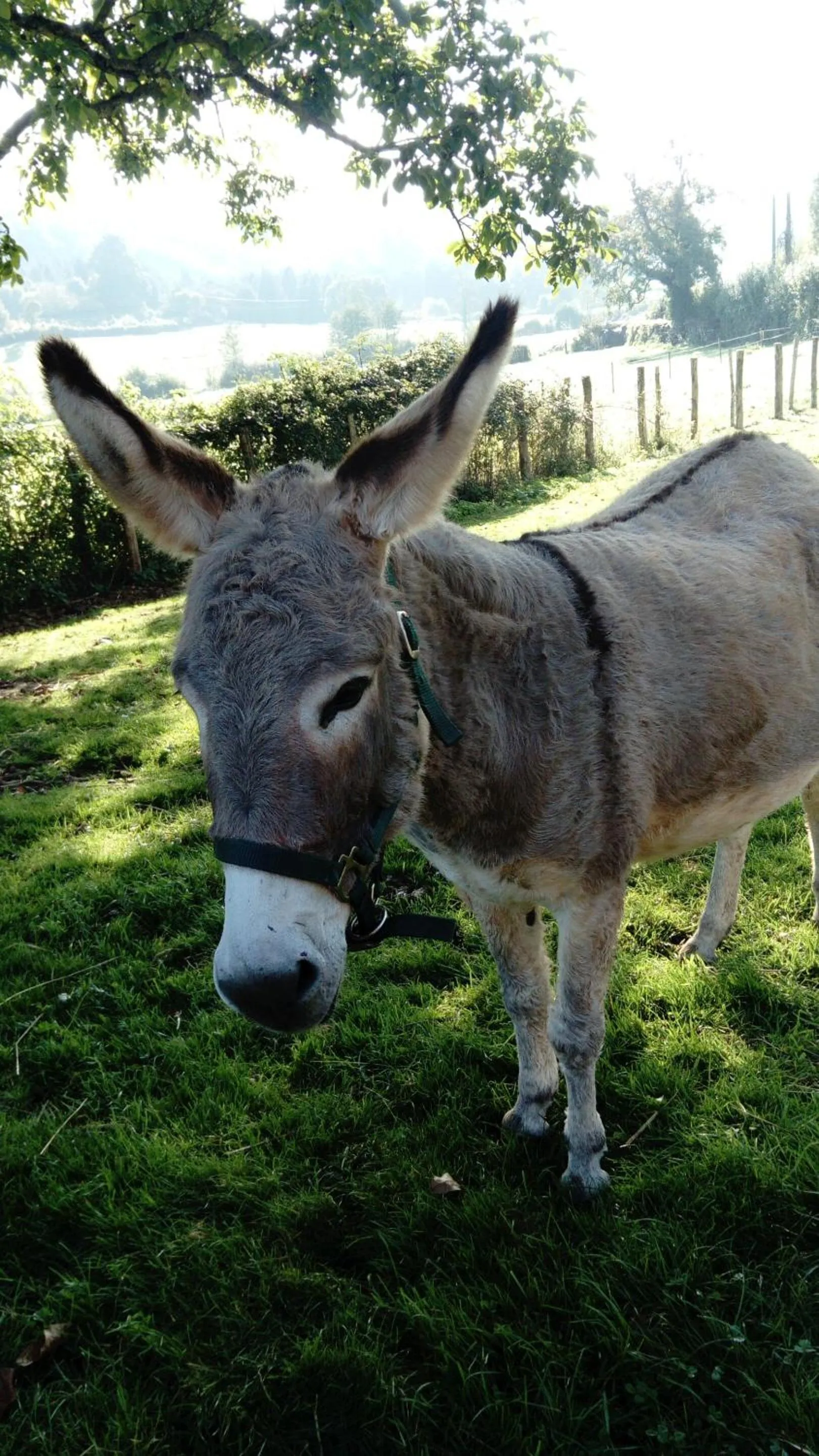 Other in La Haute Forge B&B