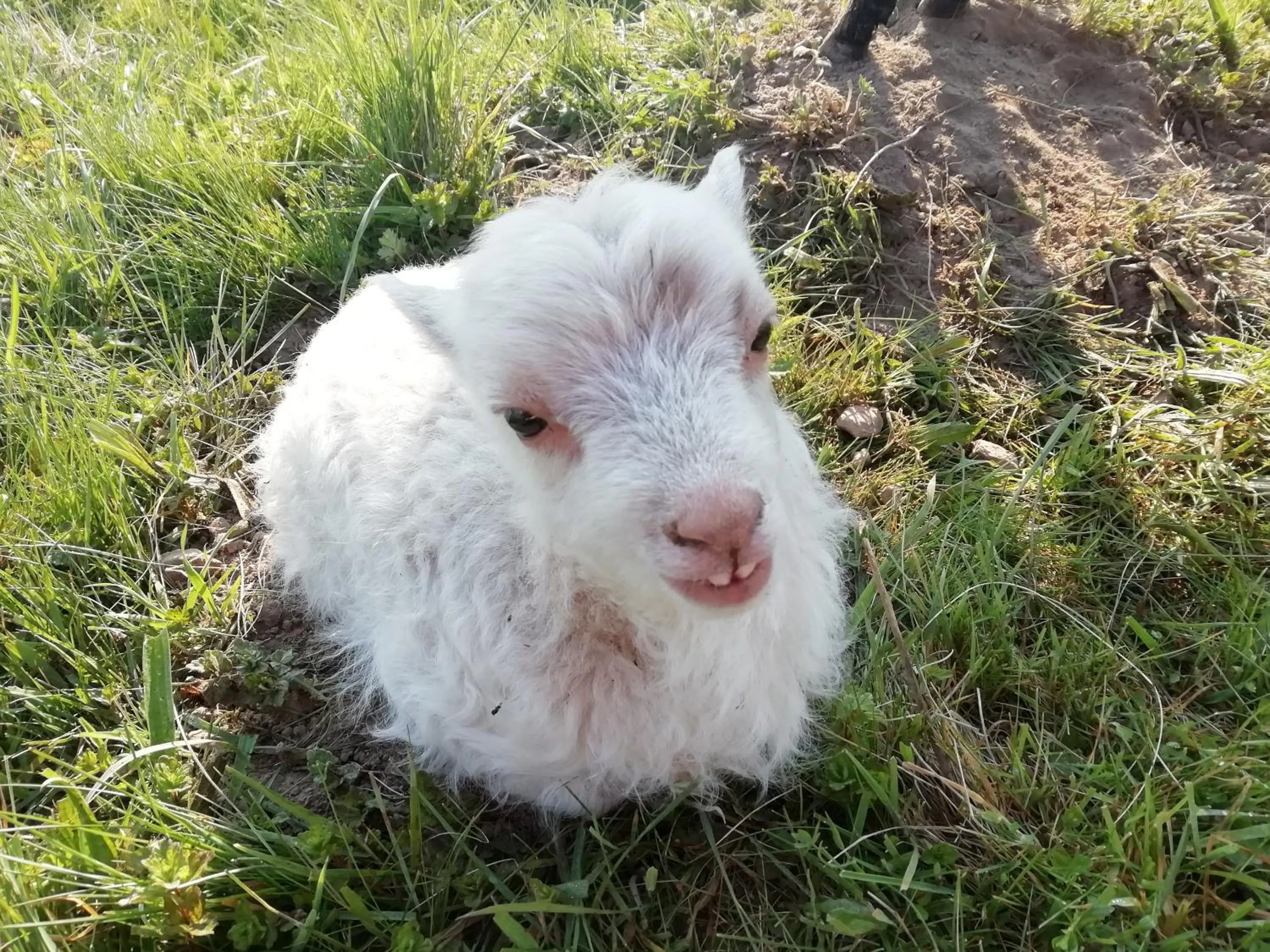 Other in La Haute Forge B&B