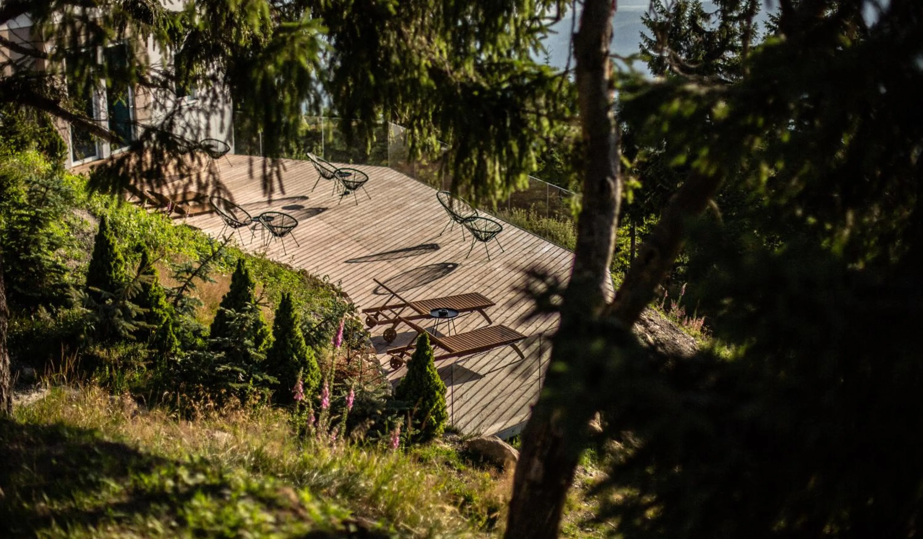 Natural landscape in Ski&Sun Apartamenty