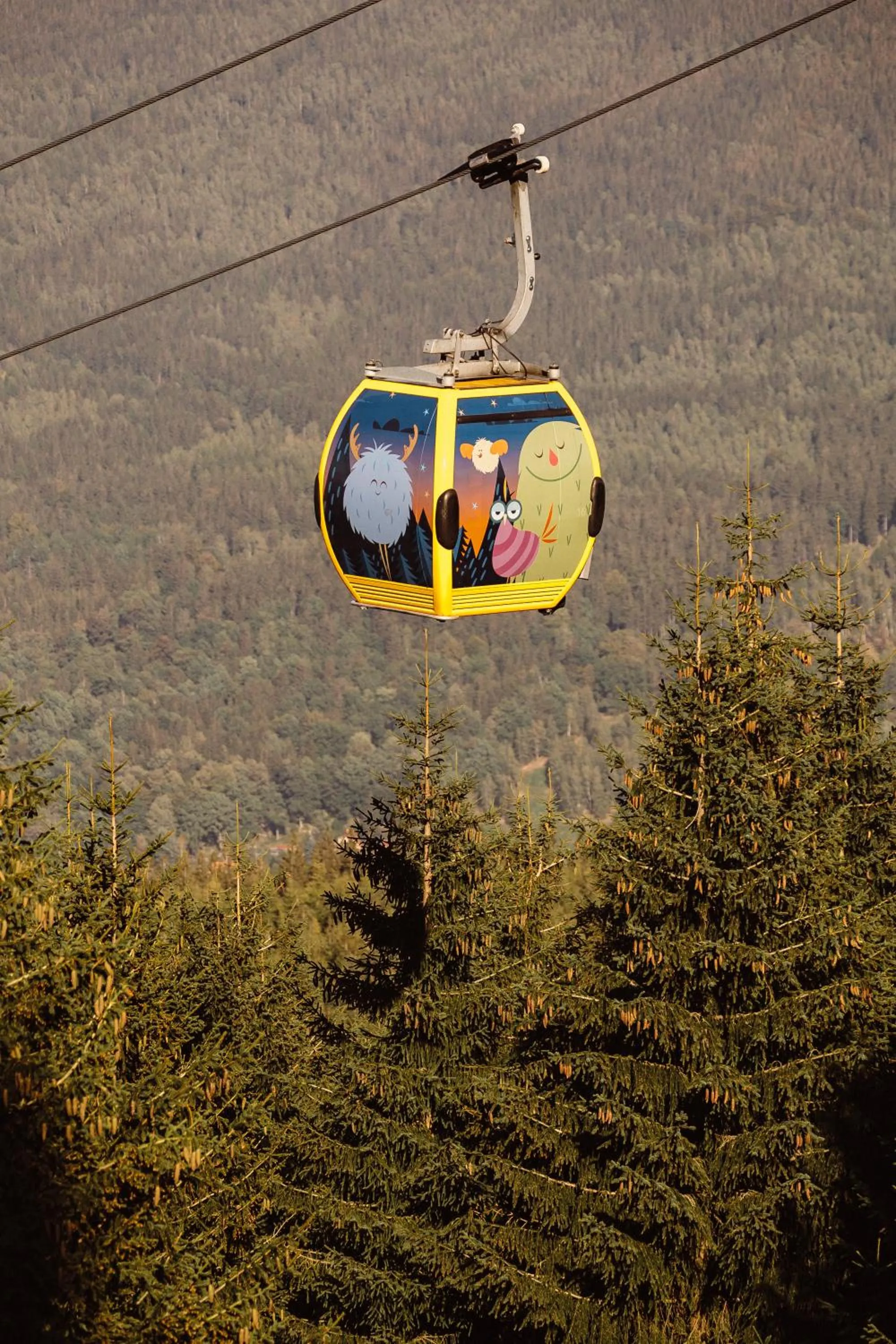 Activities in Ski&Sun Apartamenty