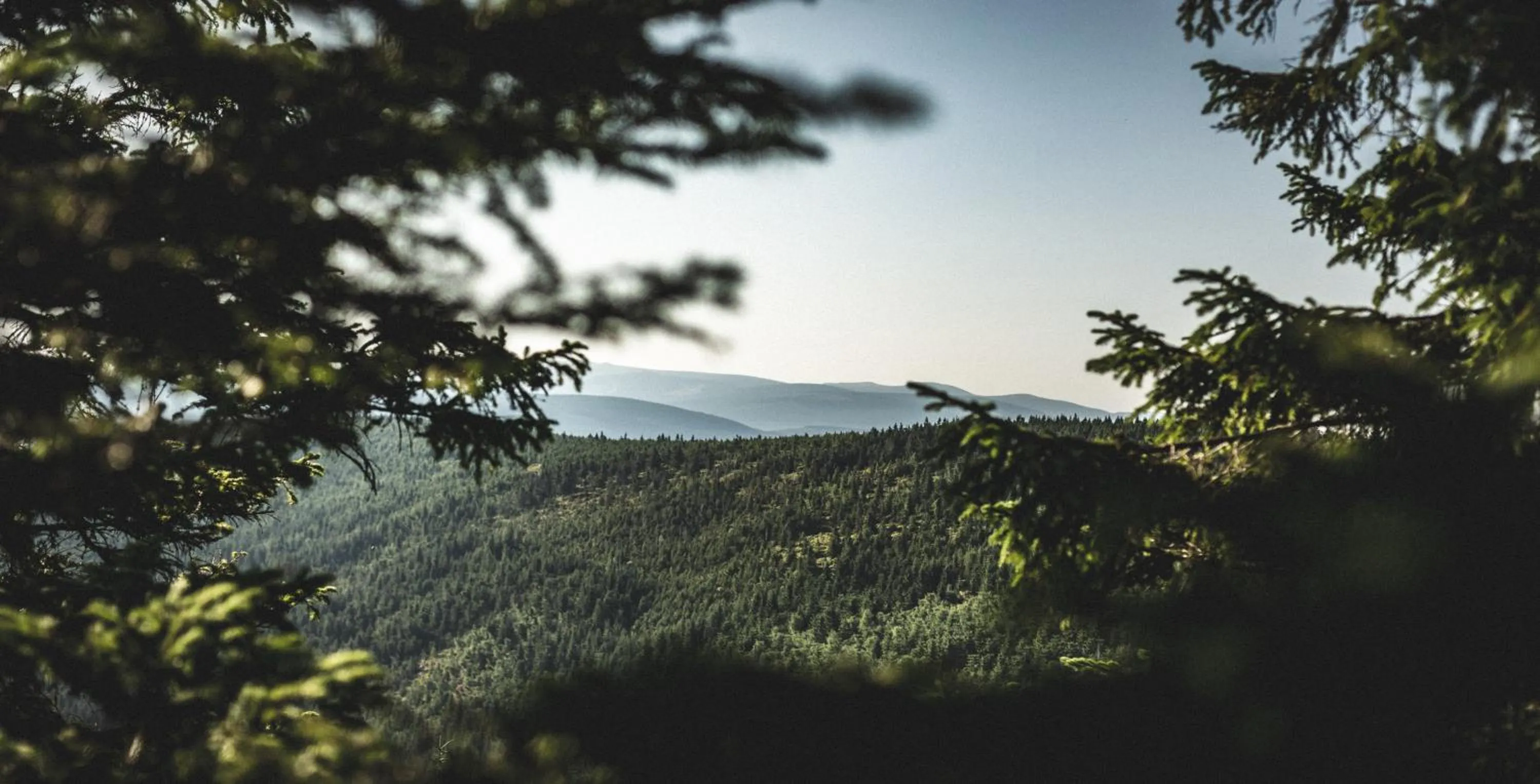 Neighbourhood in Ski&Sun Apartamenty