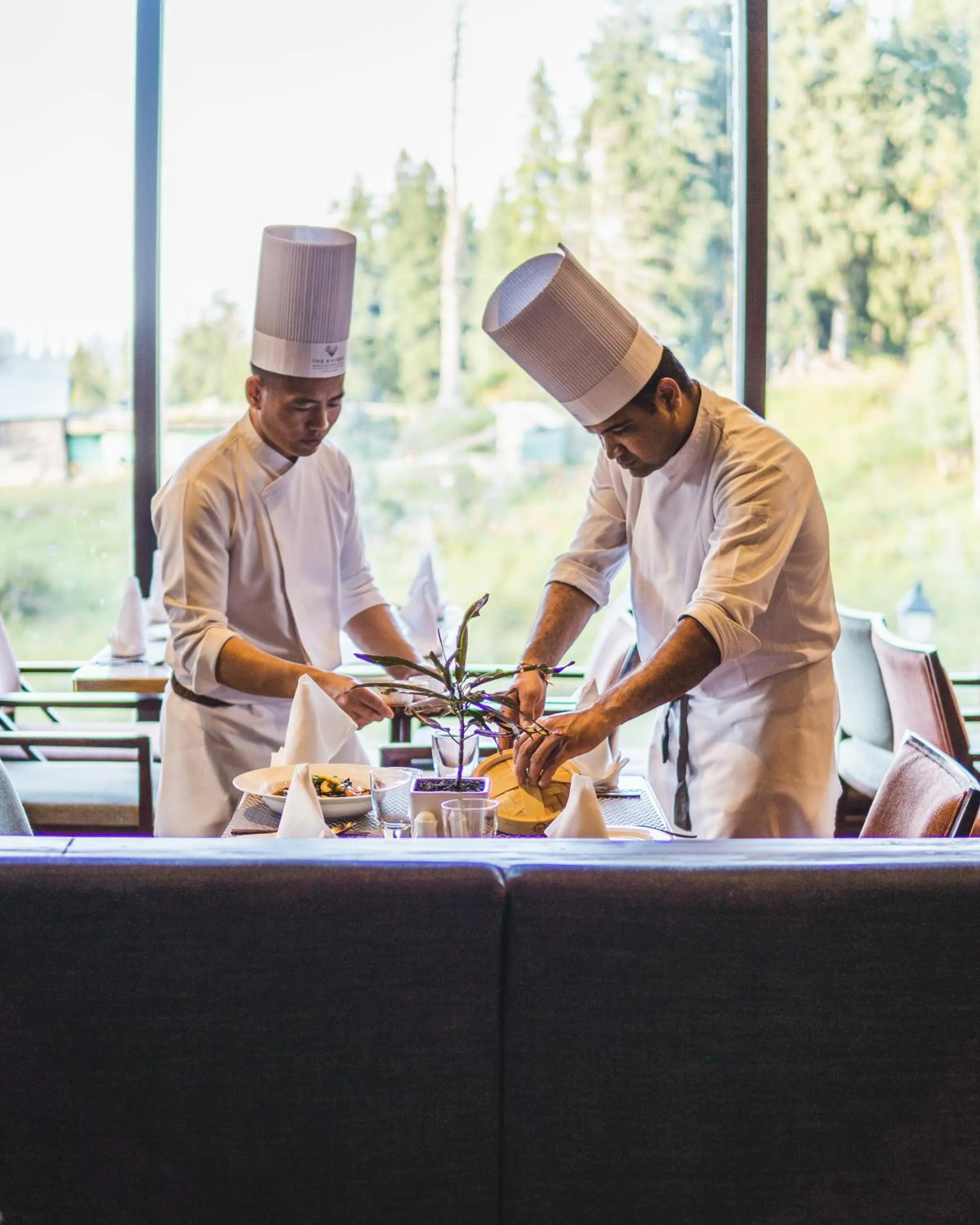 Restaurant/places to eat in The Khyber Himalayan Resort & Spa